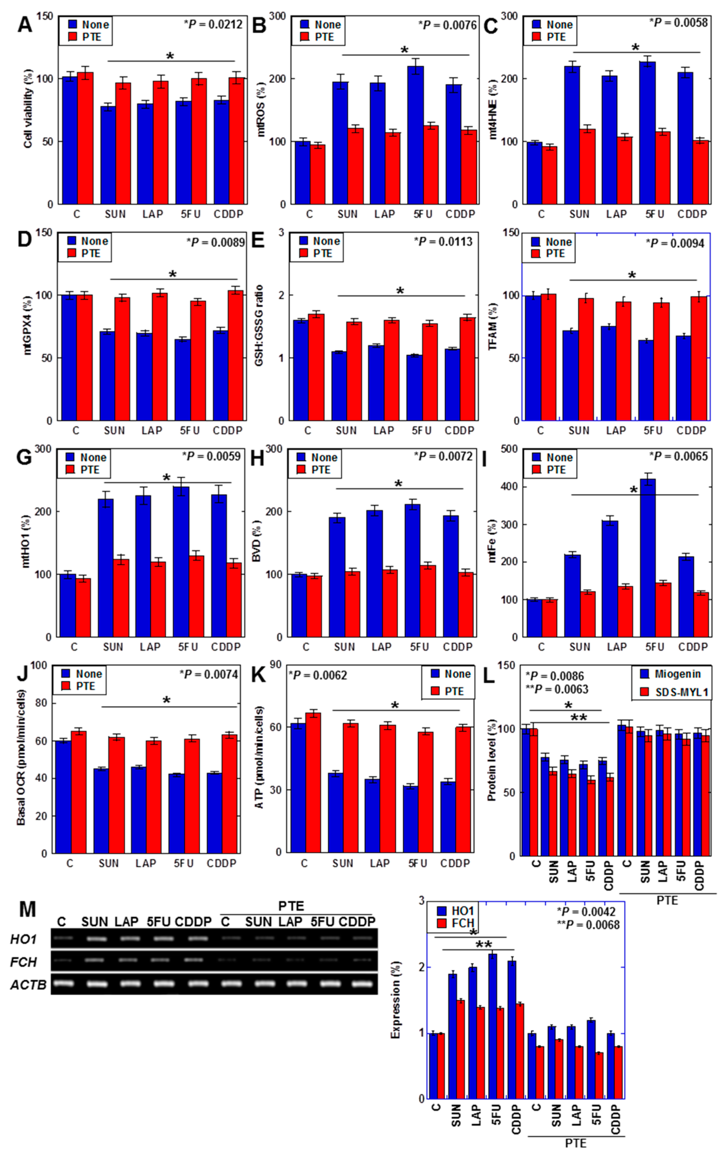 Ijms 25 03015 g006 Ijms 25 03015 g006