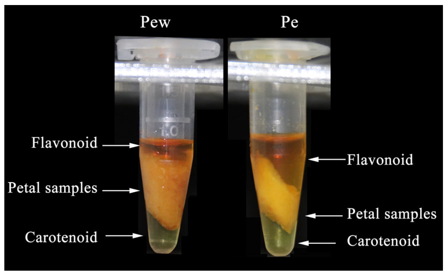 Ijms 25 03029 g001 Ijms 25 03029 g001