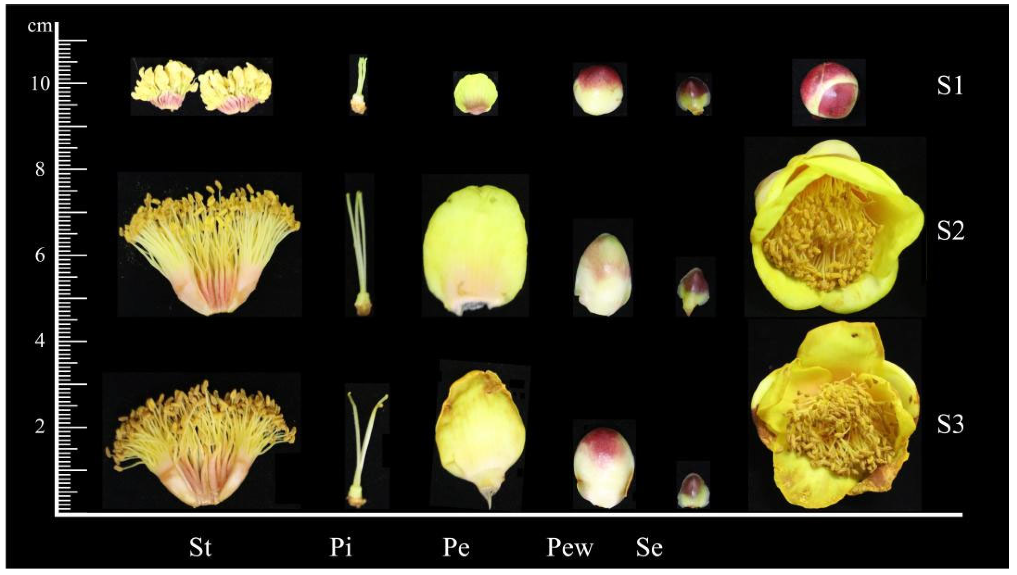 Ijms 25 03029 g006 Ijms 25 03029 g006