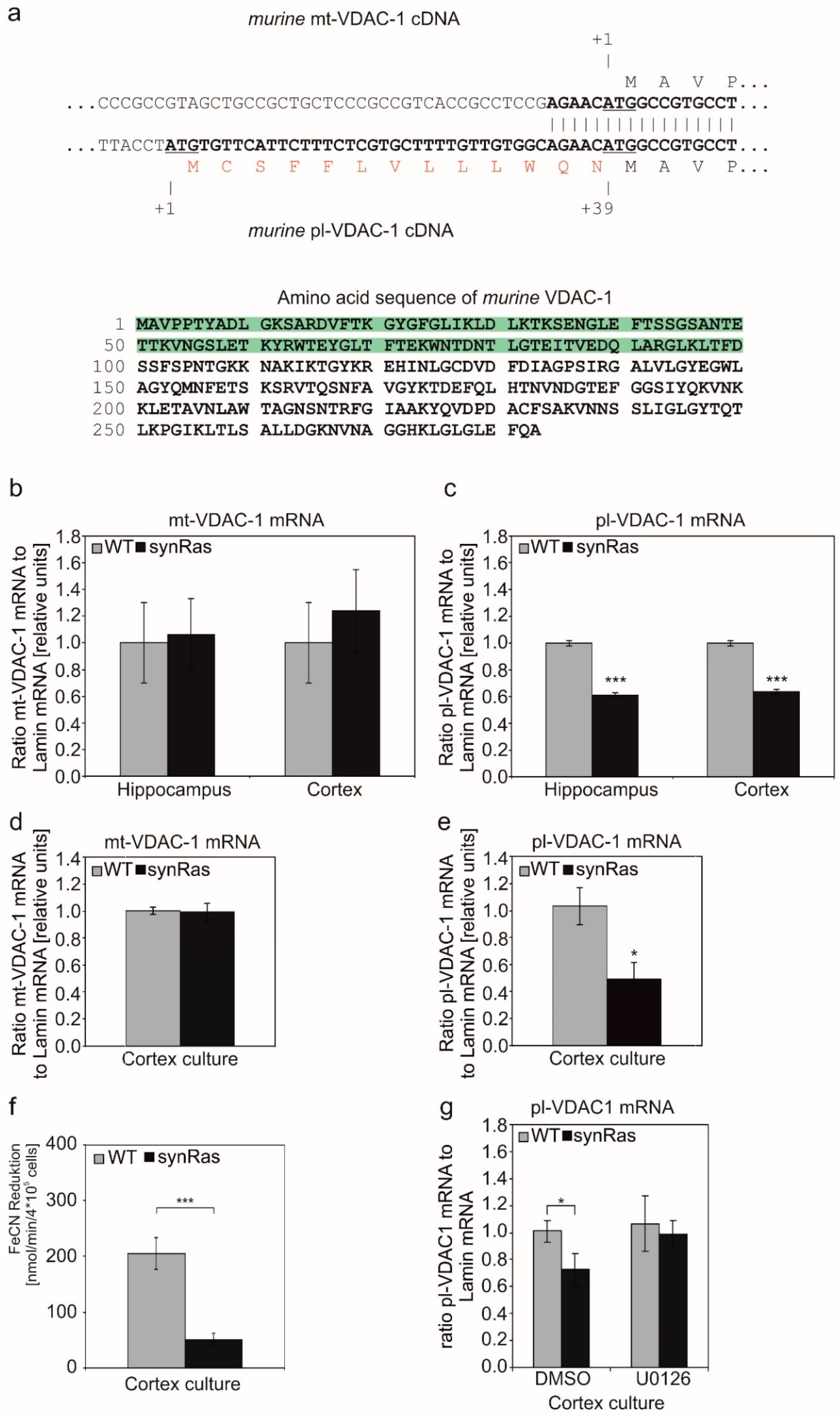 Ijms 25 03030 g001 Ijms 25 03030 g001