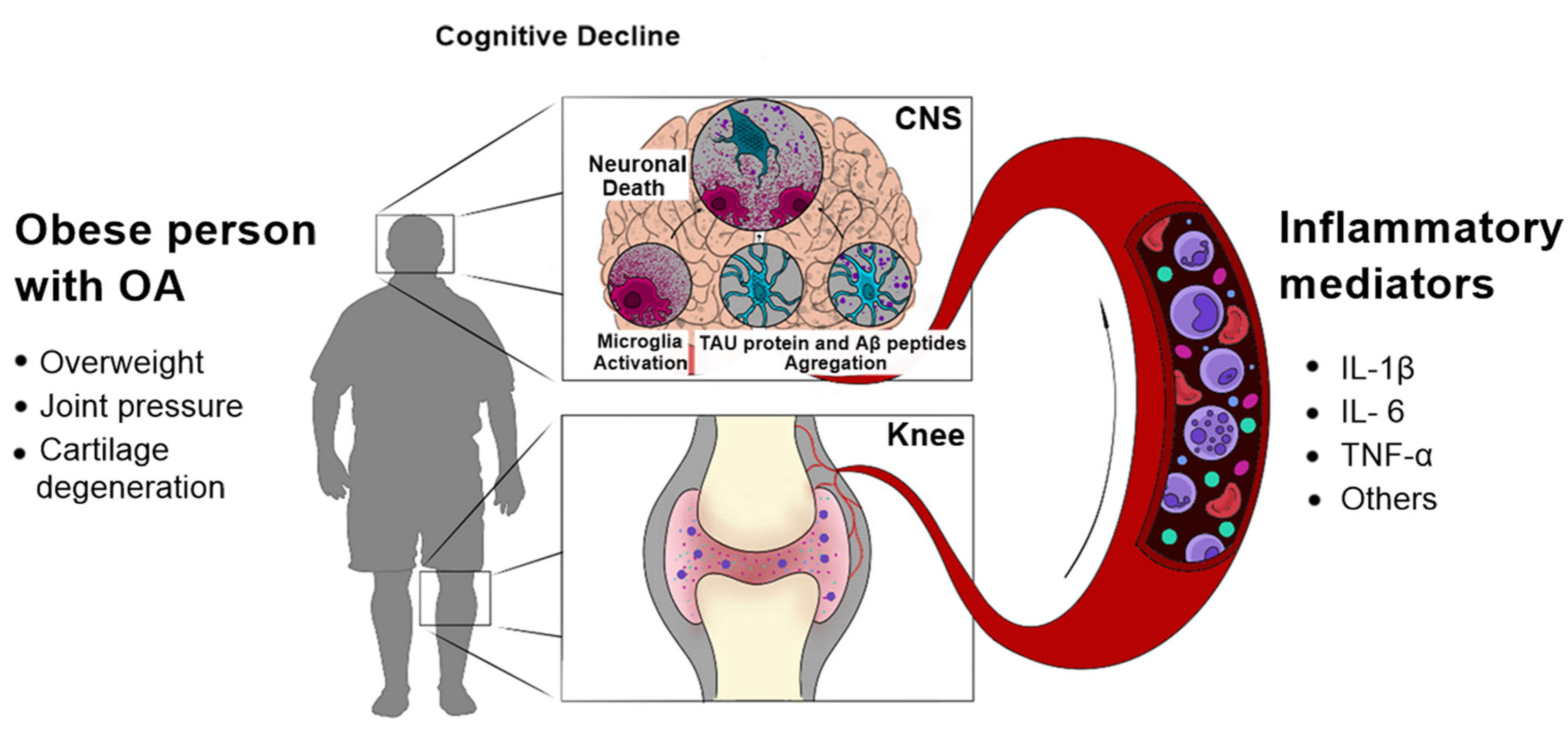 Ijms 25 03044 g001 Ijms 25 03044 g001