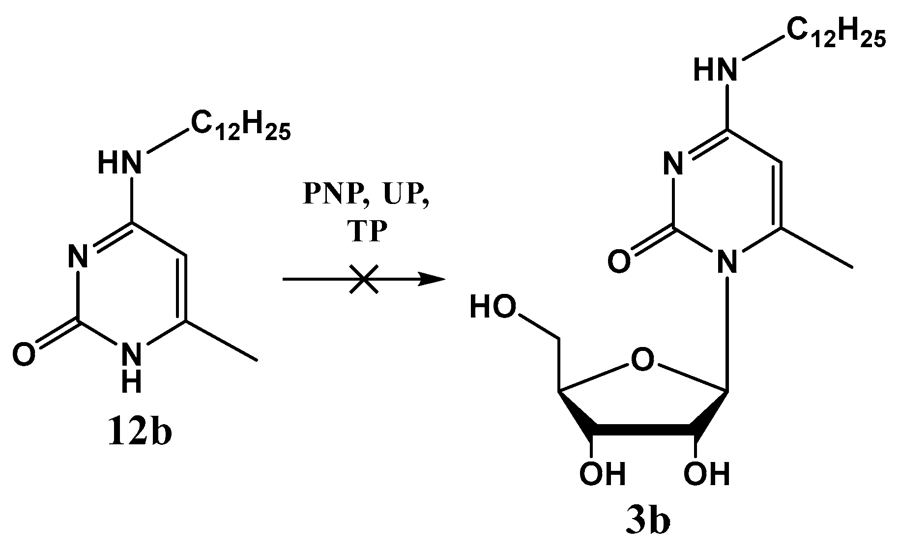 Ijms 25 03053 sch004