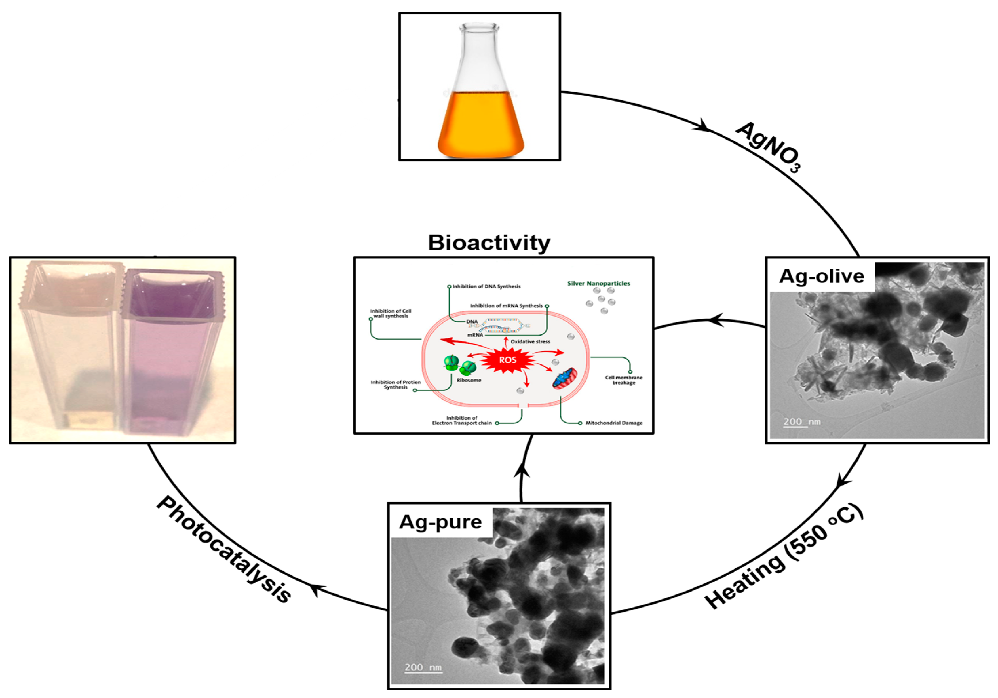 Ijms 25 03082 sch001
