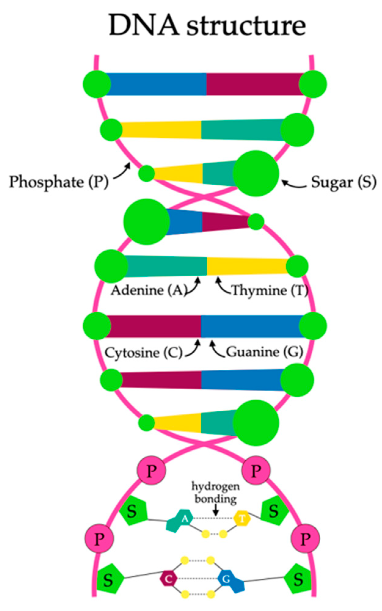 Ijms 25 03126 g004 Ijms 25 03126 g004