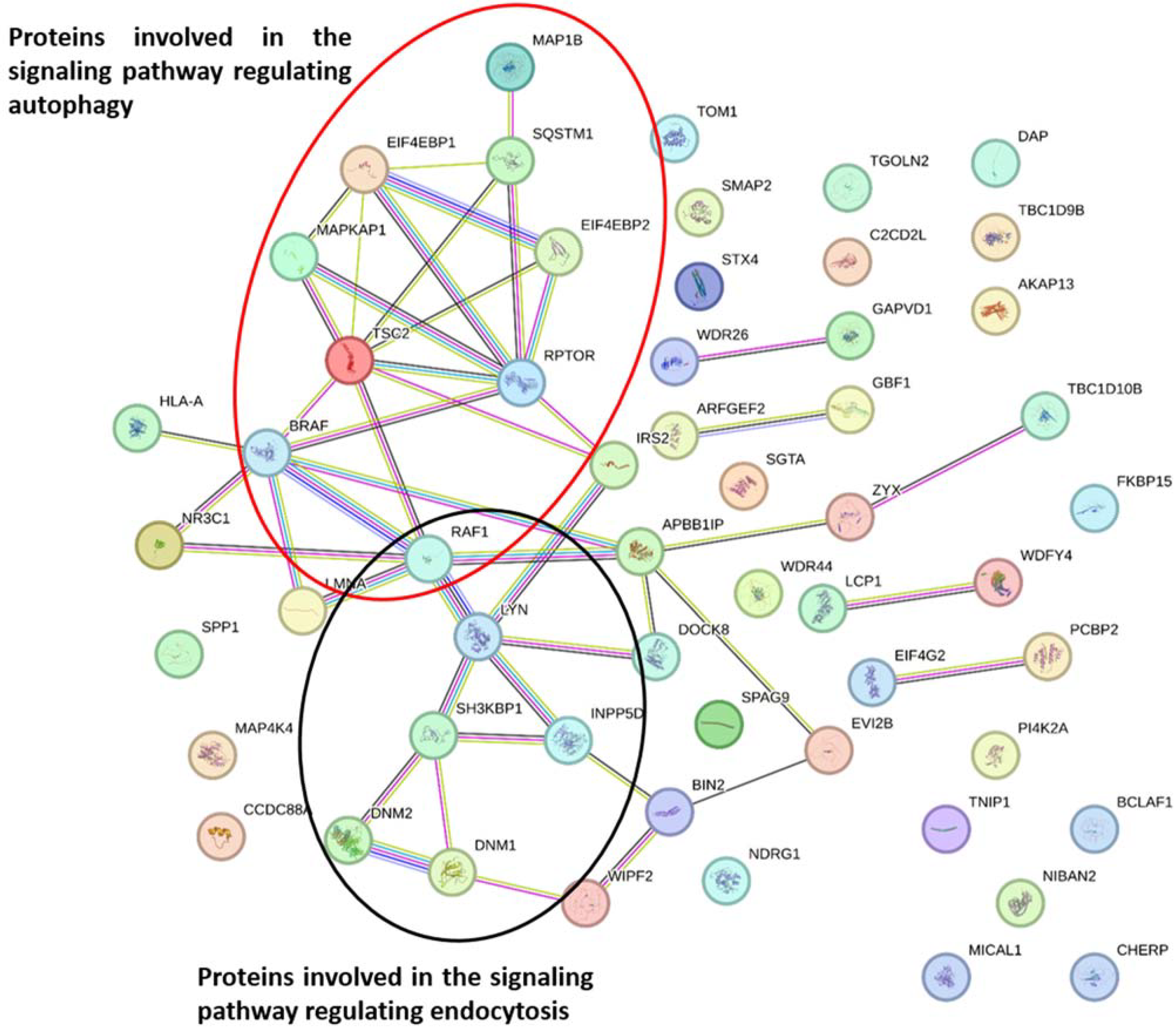 Ijms 25 03145 g003 Ijms 25 03145 g003