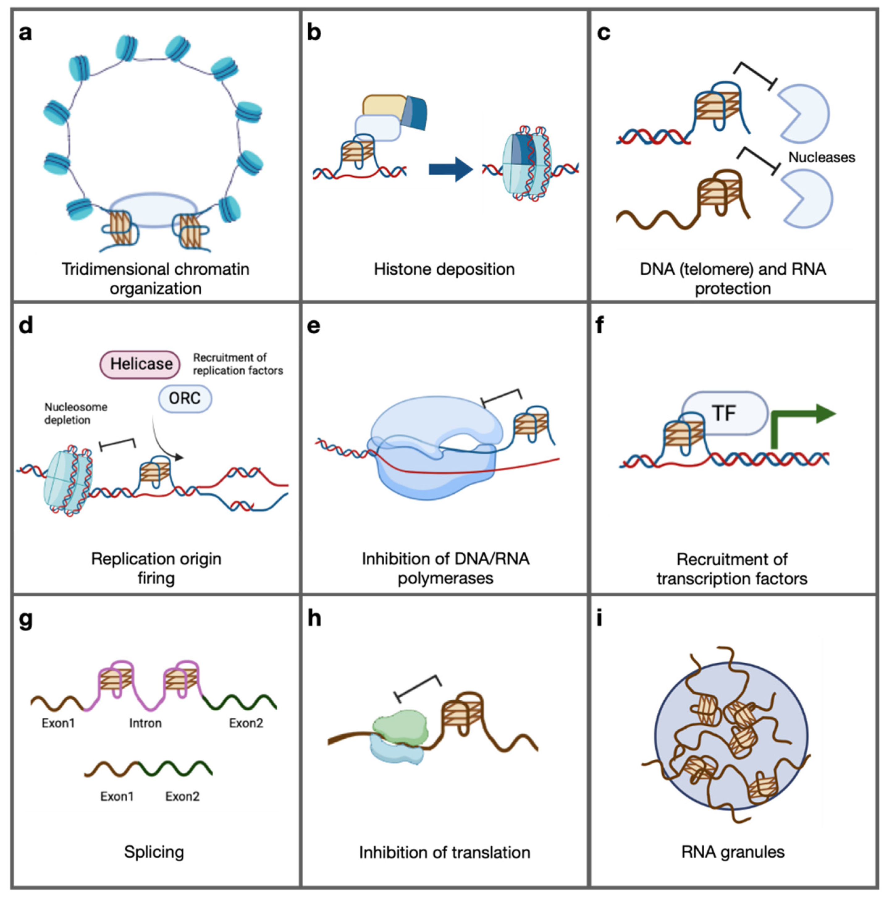 Ijms 25 03162 g005 Ijms 25 03162 g005