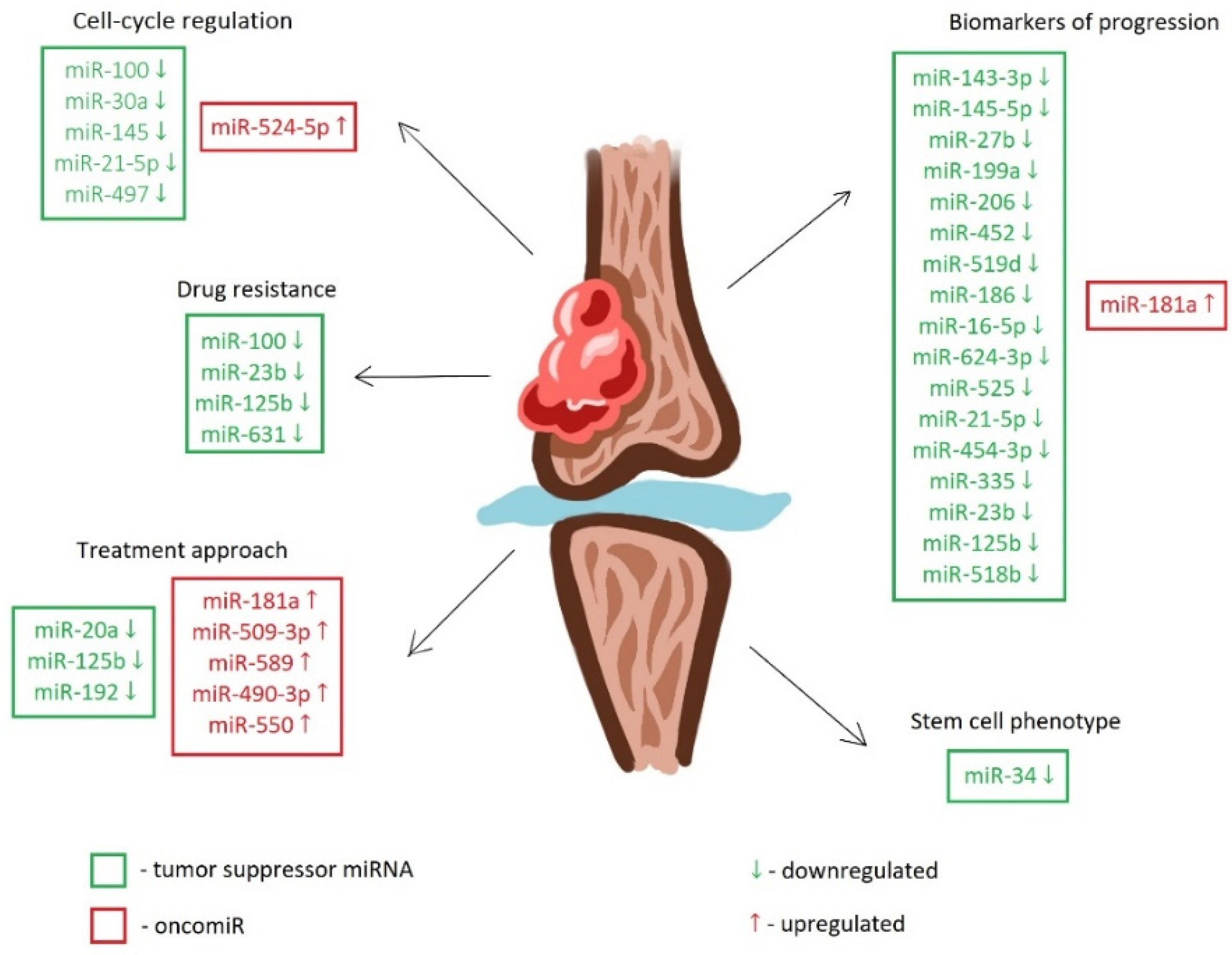 Ijms 25 03176 g001 Ijms 25 03176 g001