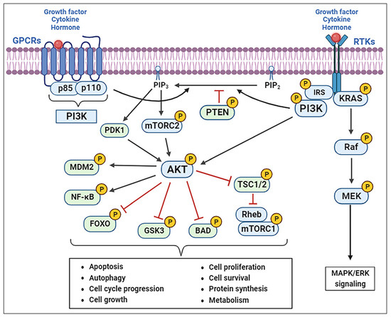 PI3K/Akt/mTOR Signaling Pathway as a Target for Colorectal PI3K/Akt/mTOR Signaling Pathway as a Target for Colorectal