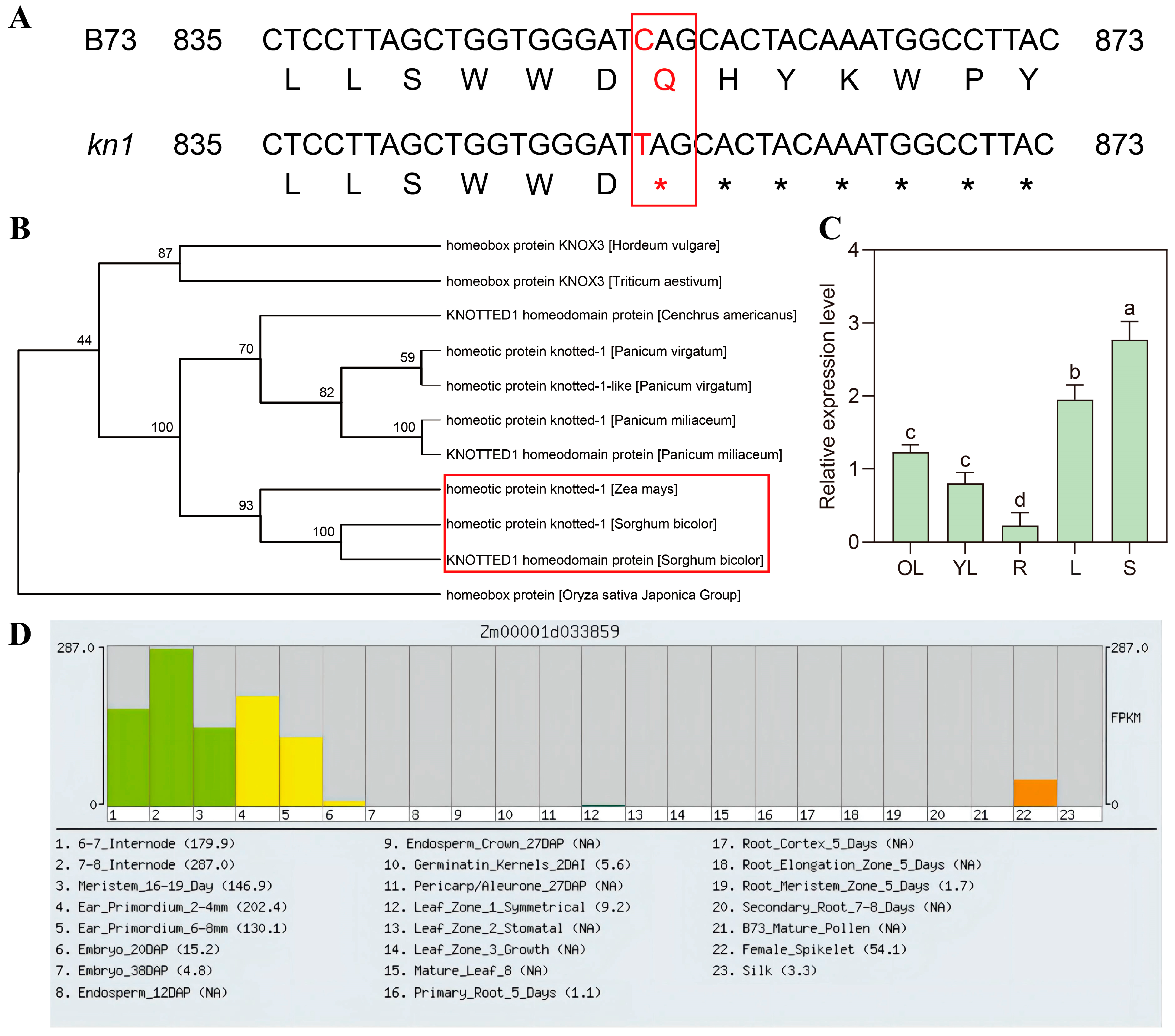 Ijms 25 03180 g001 Ijms 25 03180 g001