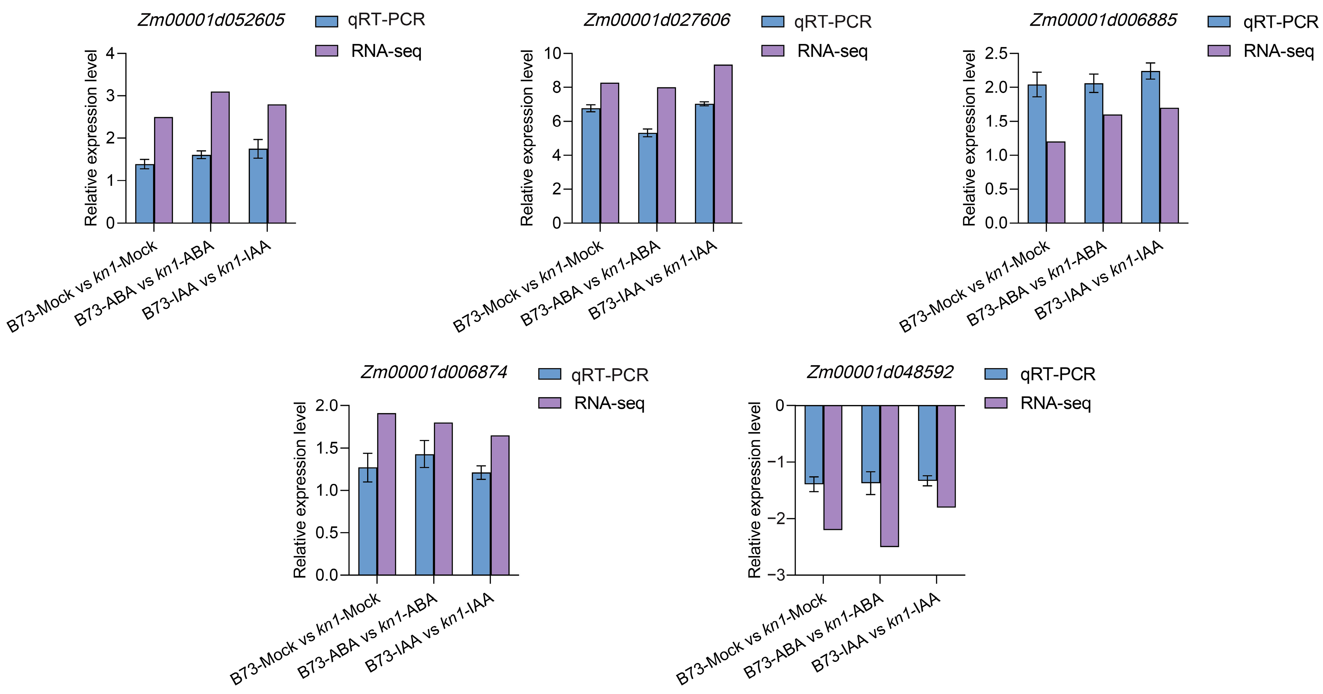 Ijms 25 03180 g007 Ijms 25 03180 g007