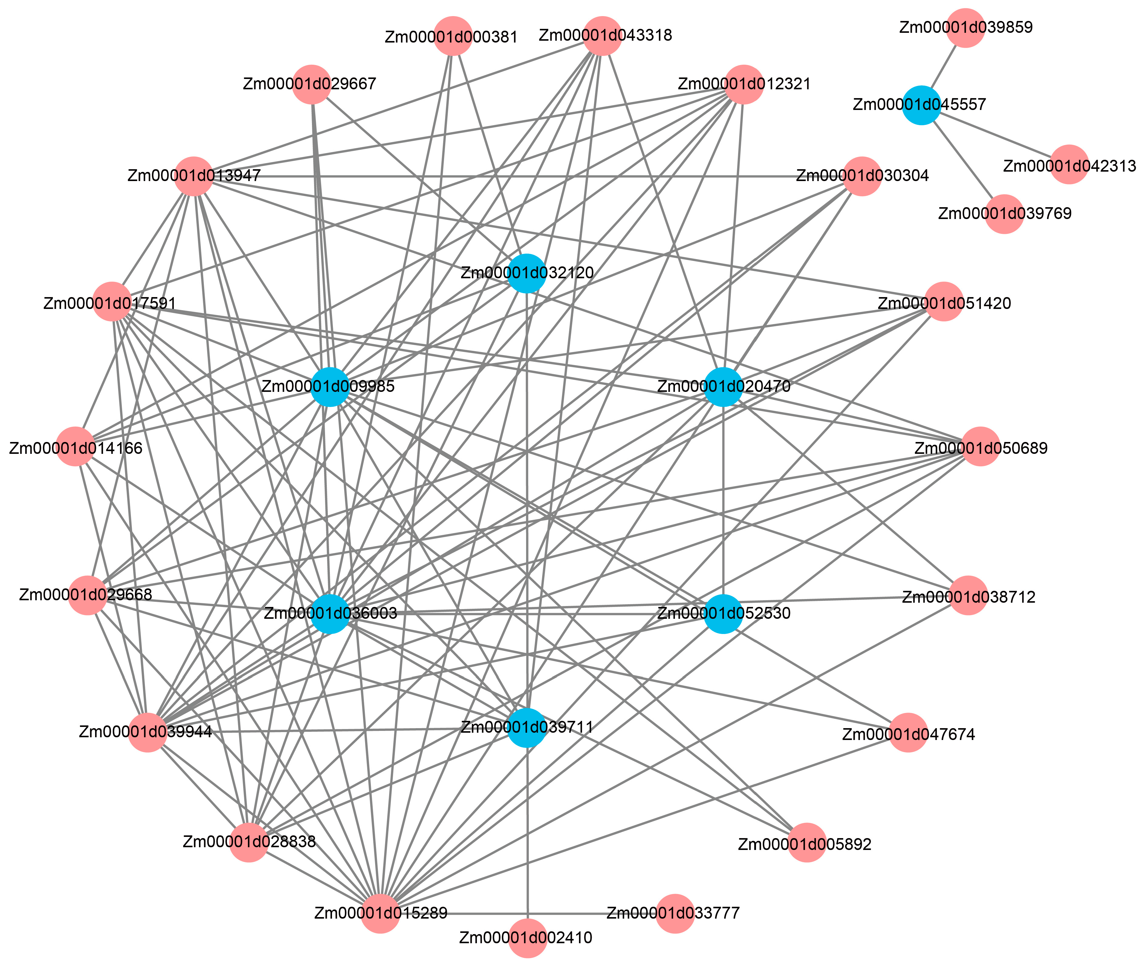 Ijms 25 03180 g009 Ijms 25 03180 g009