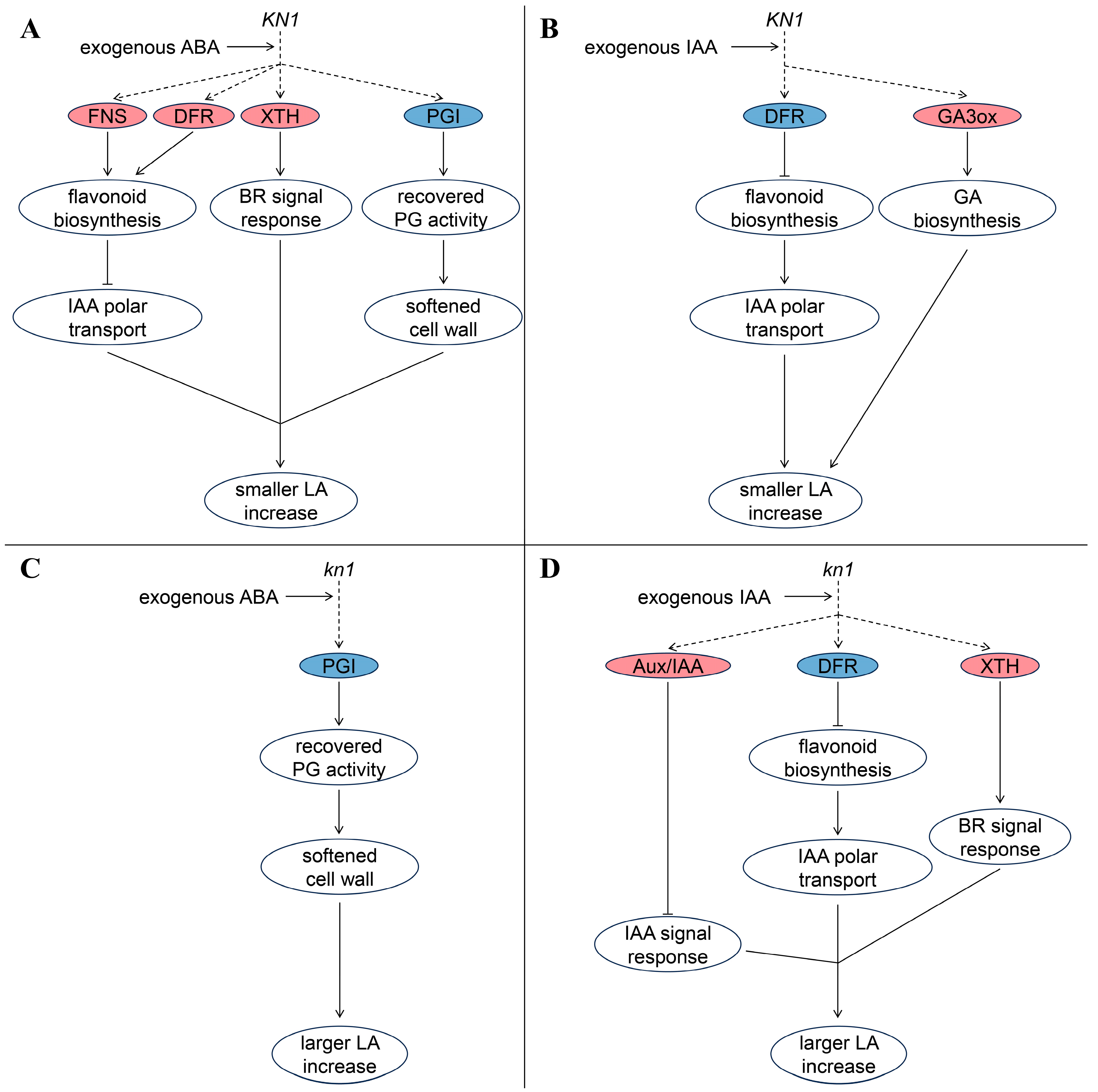 Ijms 25 03180 g010 Ijms 25 03180 g010