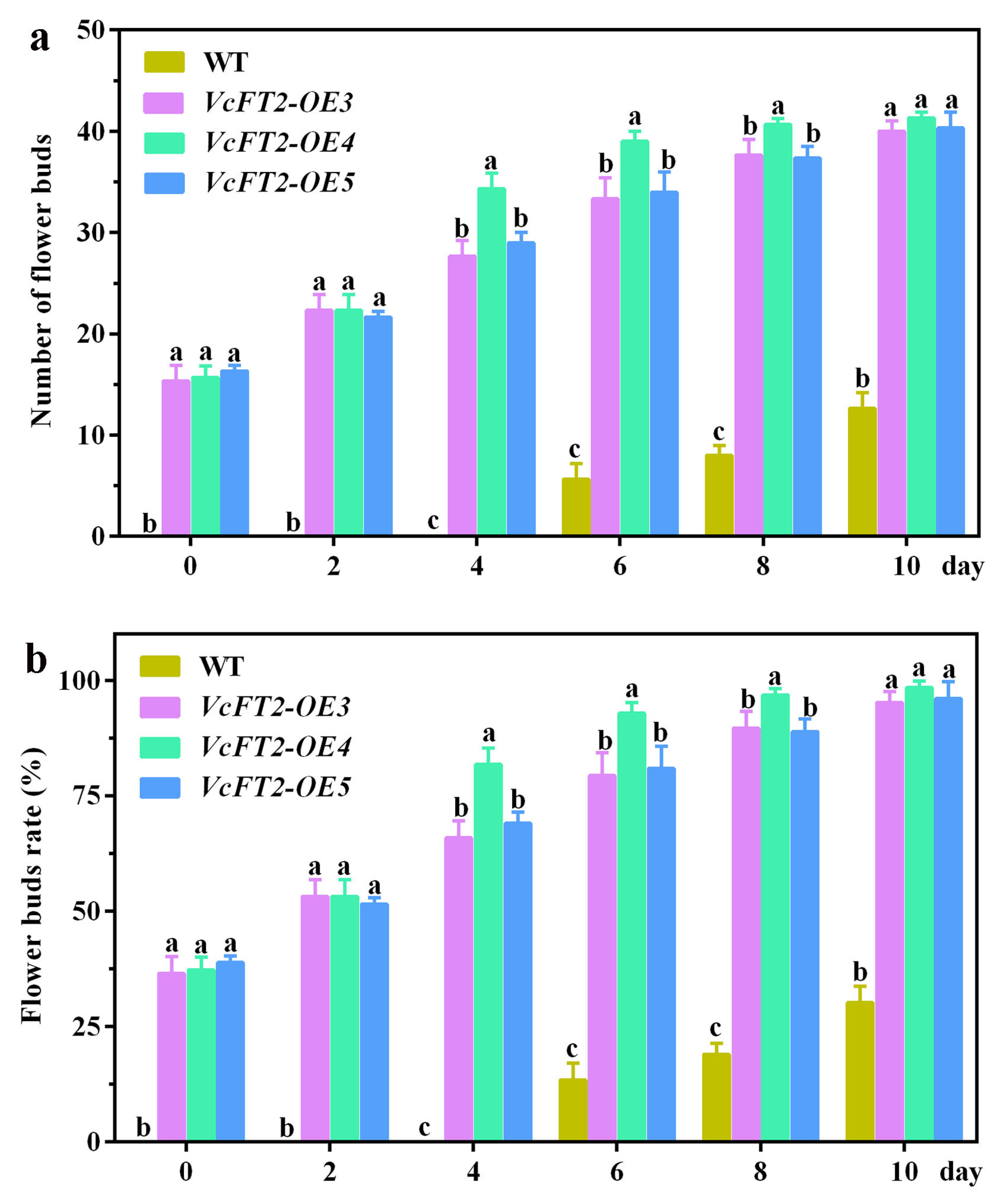 Ijms 25 03197 g009 Ijms 25 03197 g009
