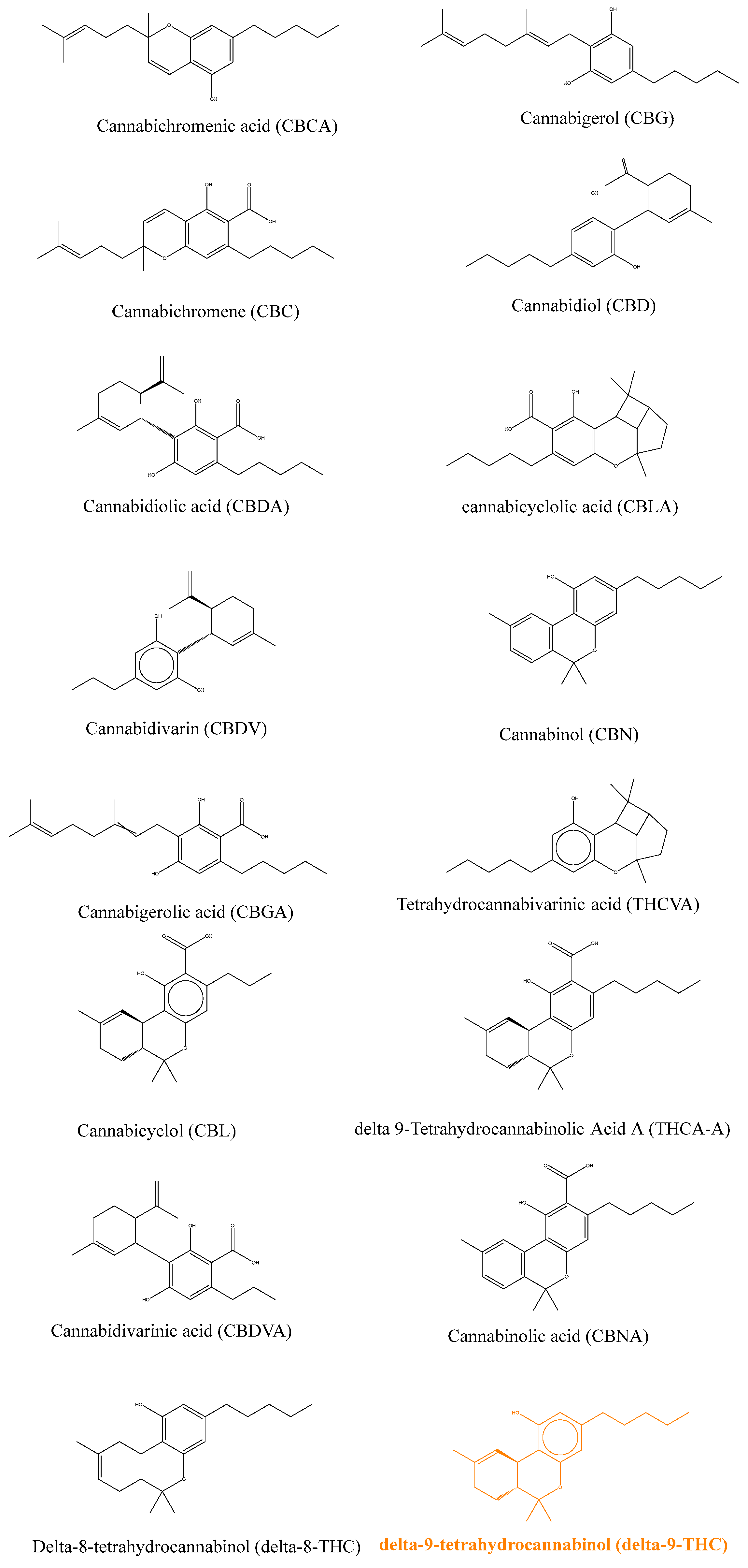 Ijms 25 03212 g001 Ijms 25 03212 g001