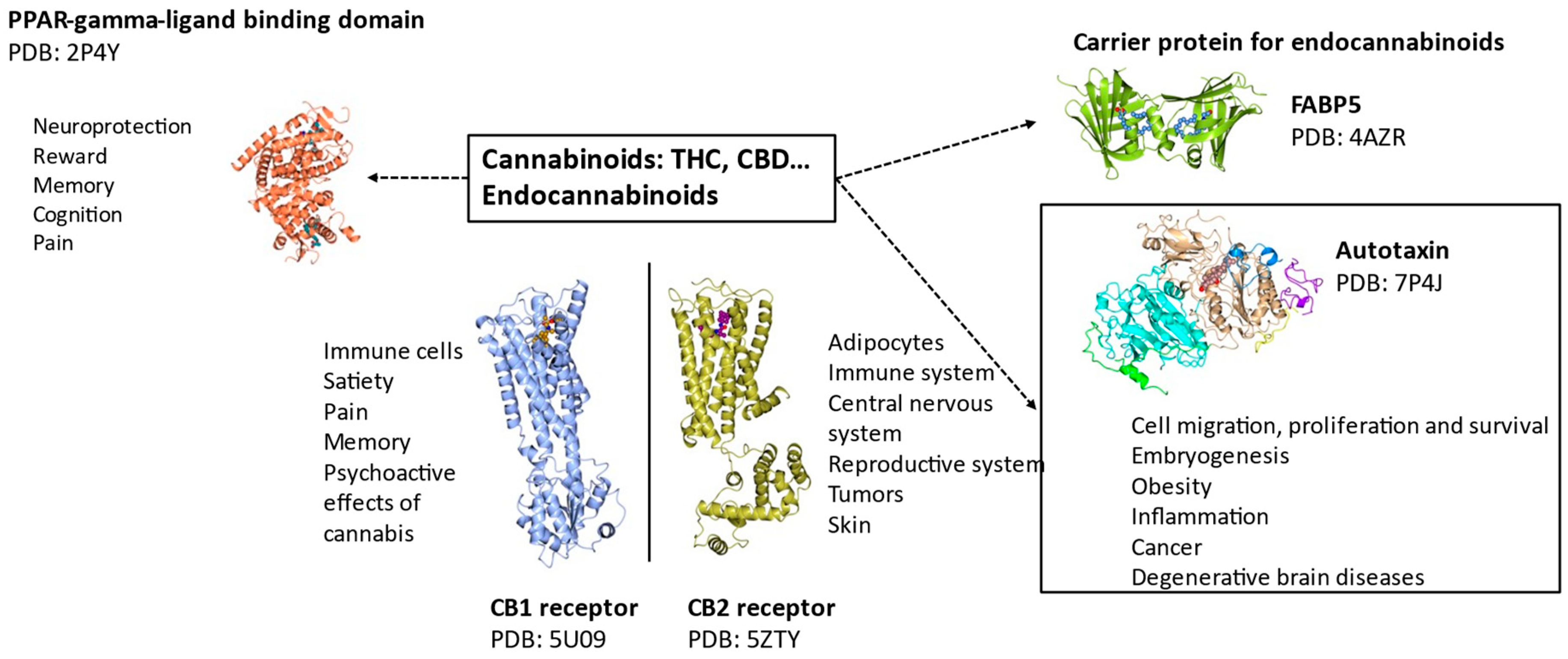 Ijms 25 03212 g004 Ijms 25 03212 g004