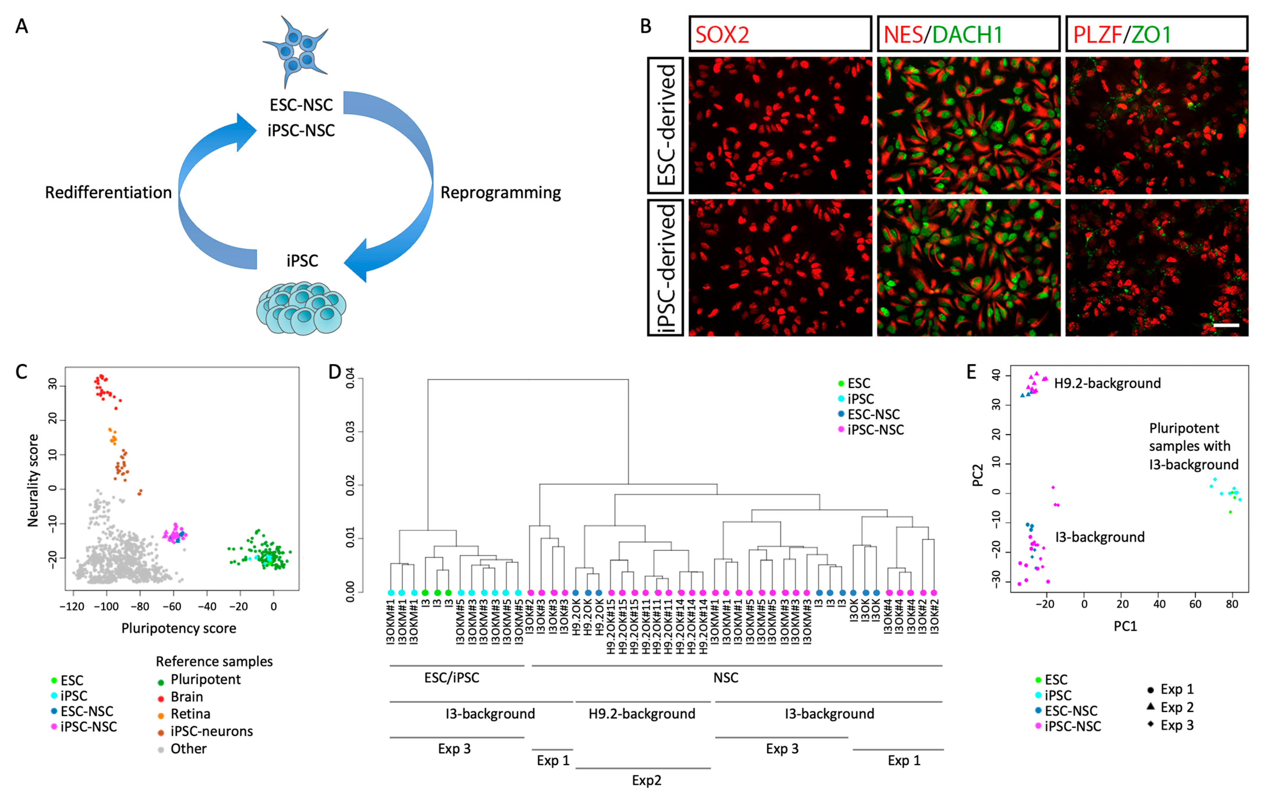 Ijms 25 03214 g001 Ijms 25 03214 g001