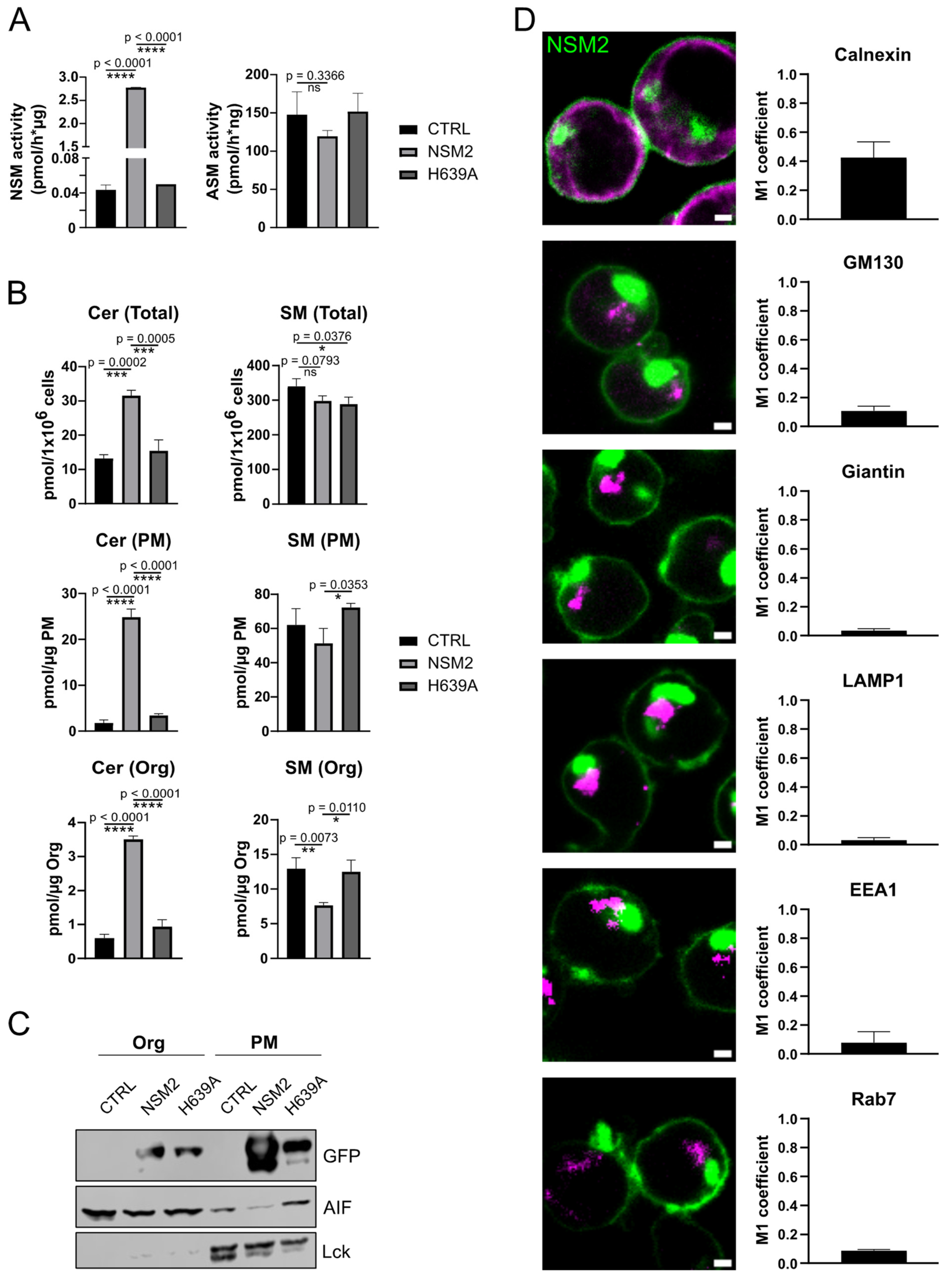 Ijms 25 03247 g002 Ijms 25 03247 g002