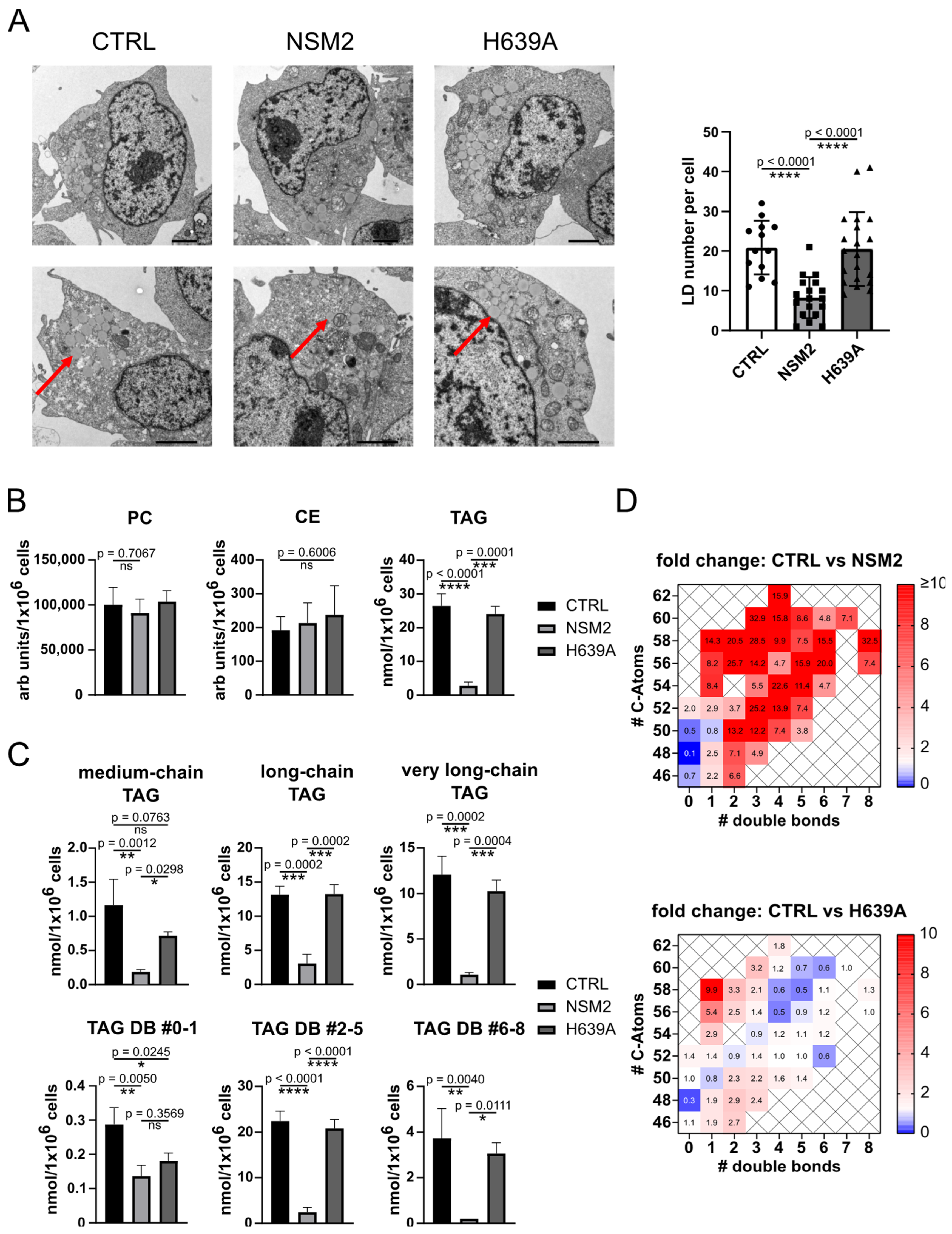 Ijms 25 03247 g005 Ijms 25 03247 g005