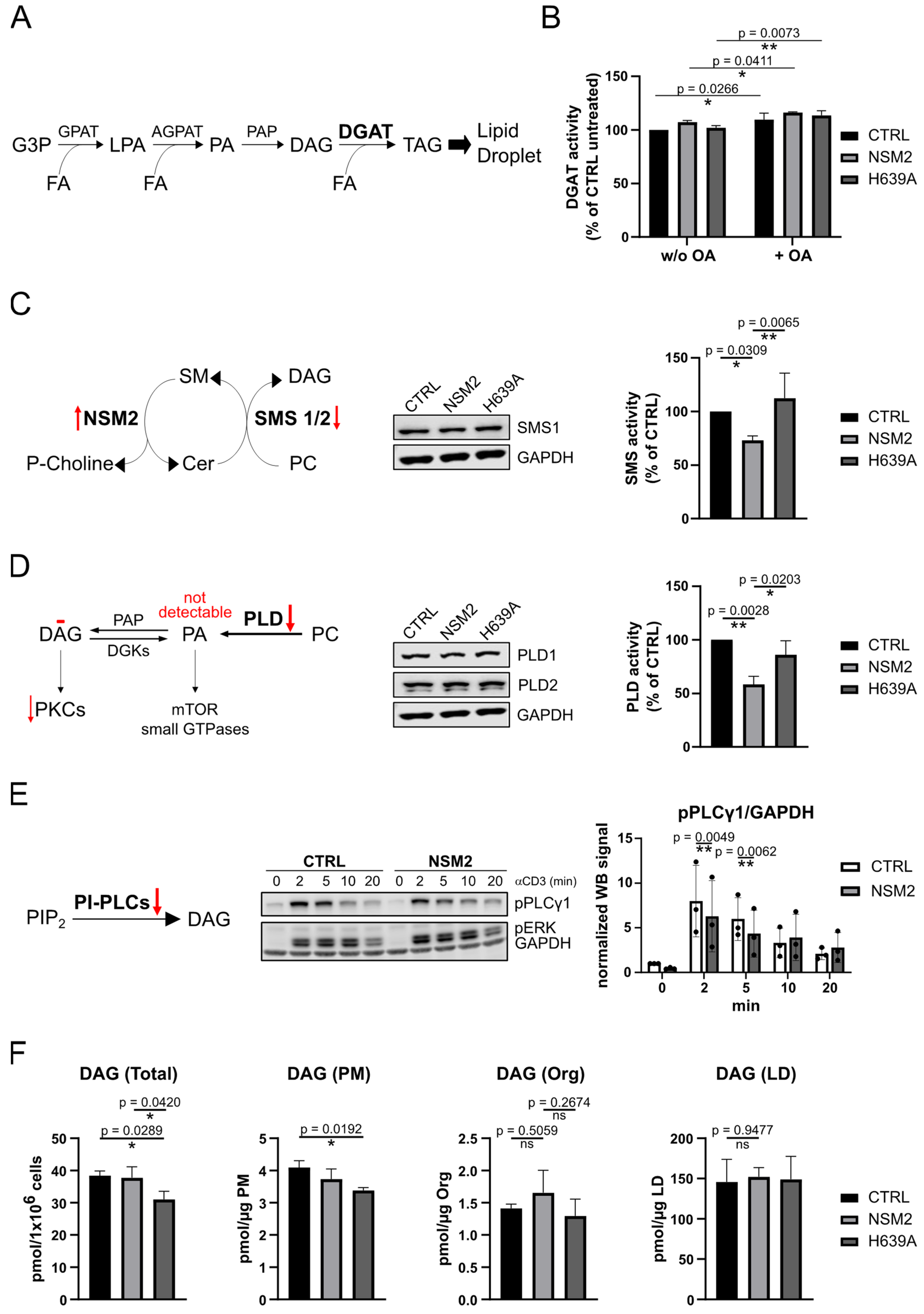 Ijms 25 03247 g006 Ijms 25 03247 g006