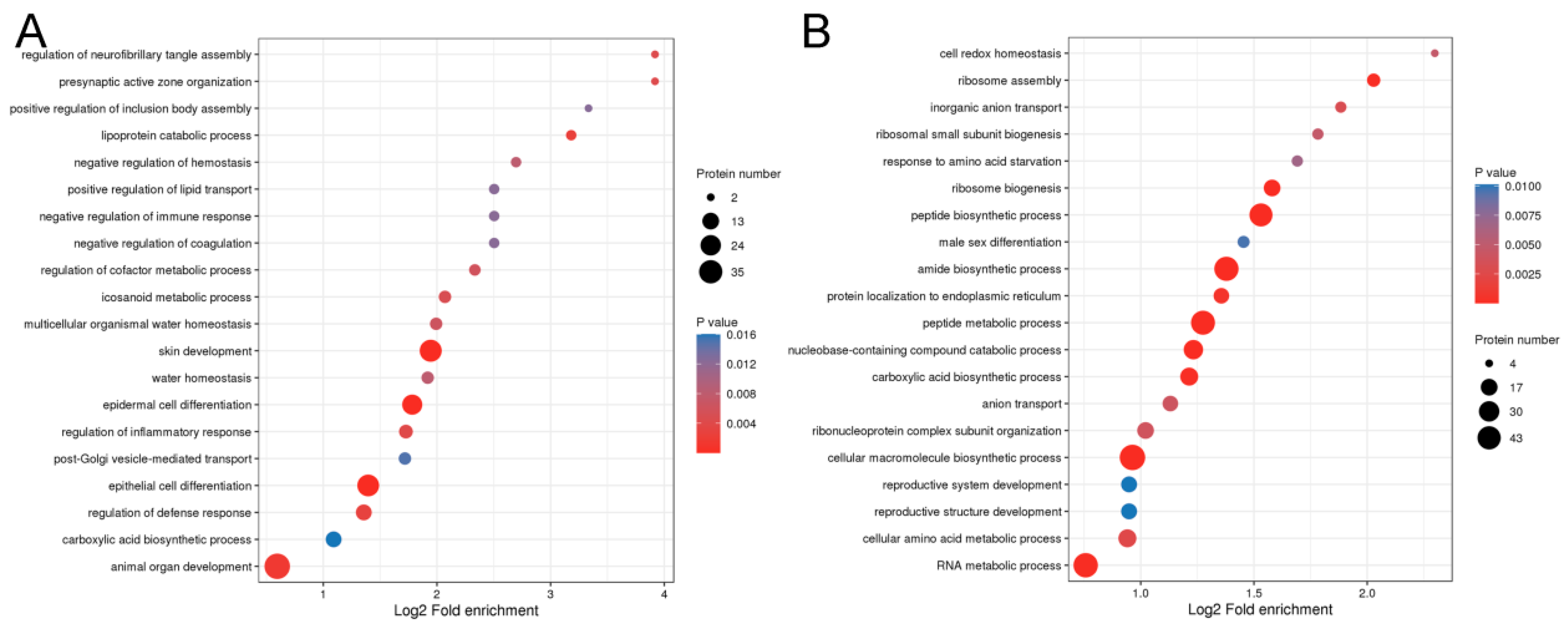 Ijms 25 03260 g002 Ijms 25 03260 g002