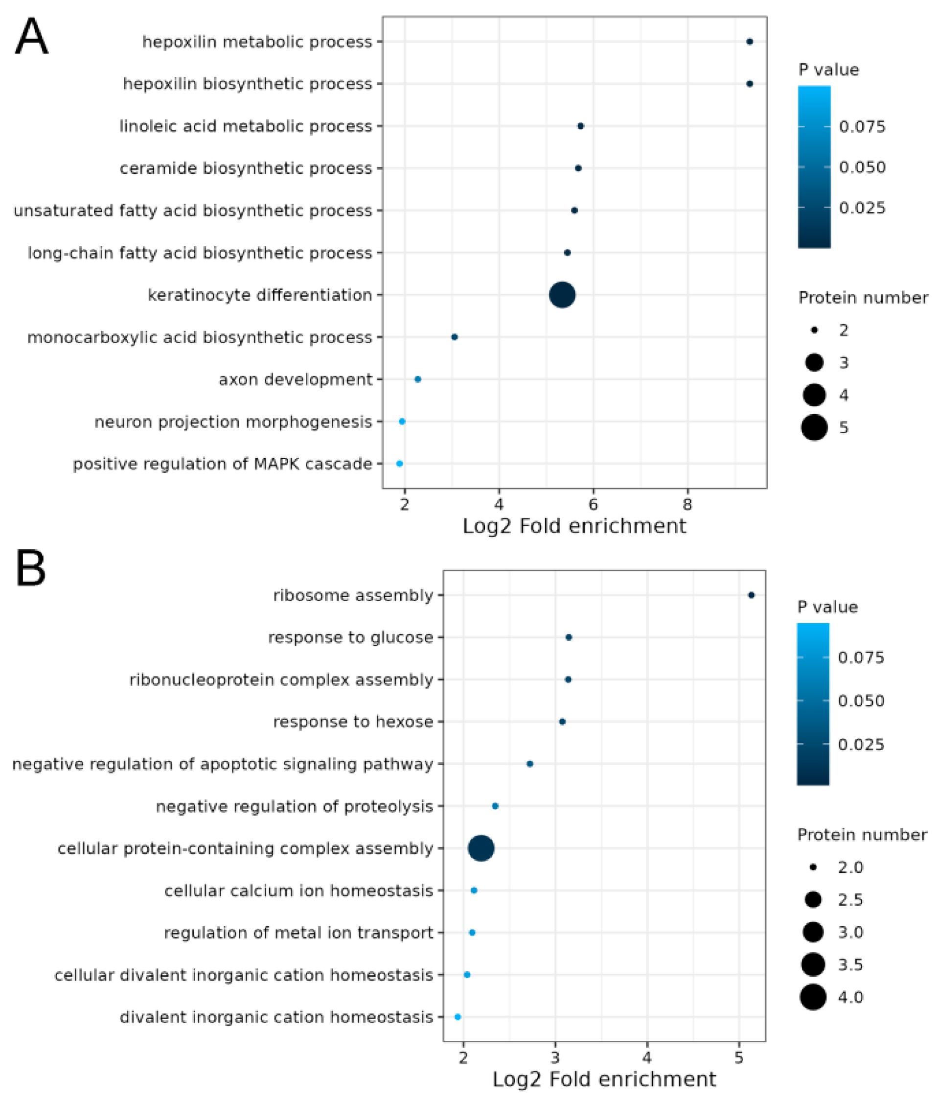 Ijms 25 03260 g006 Ijms 25 03260 g006