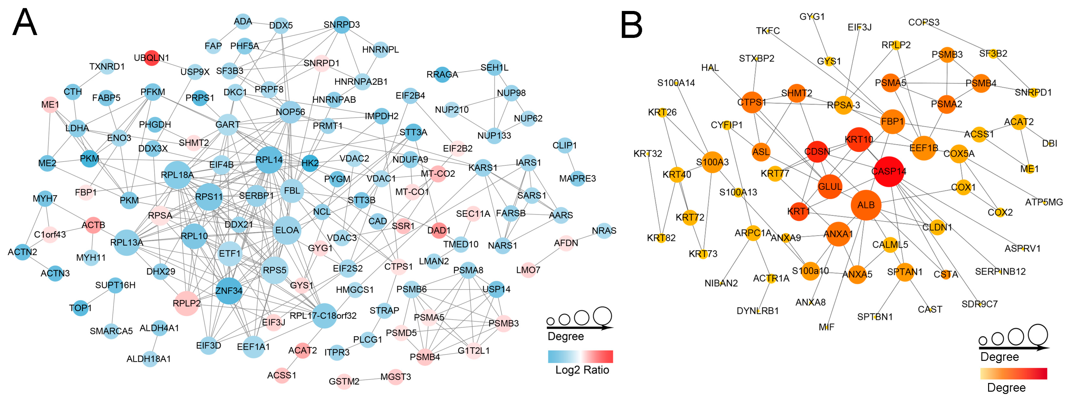 Ijms 25 03260 g007 Ijms 25 03260 g007
