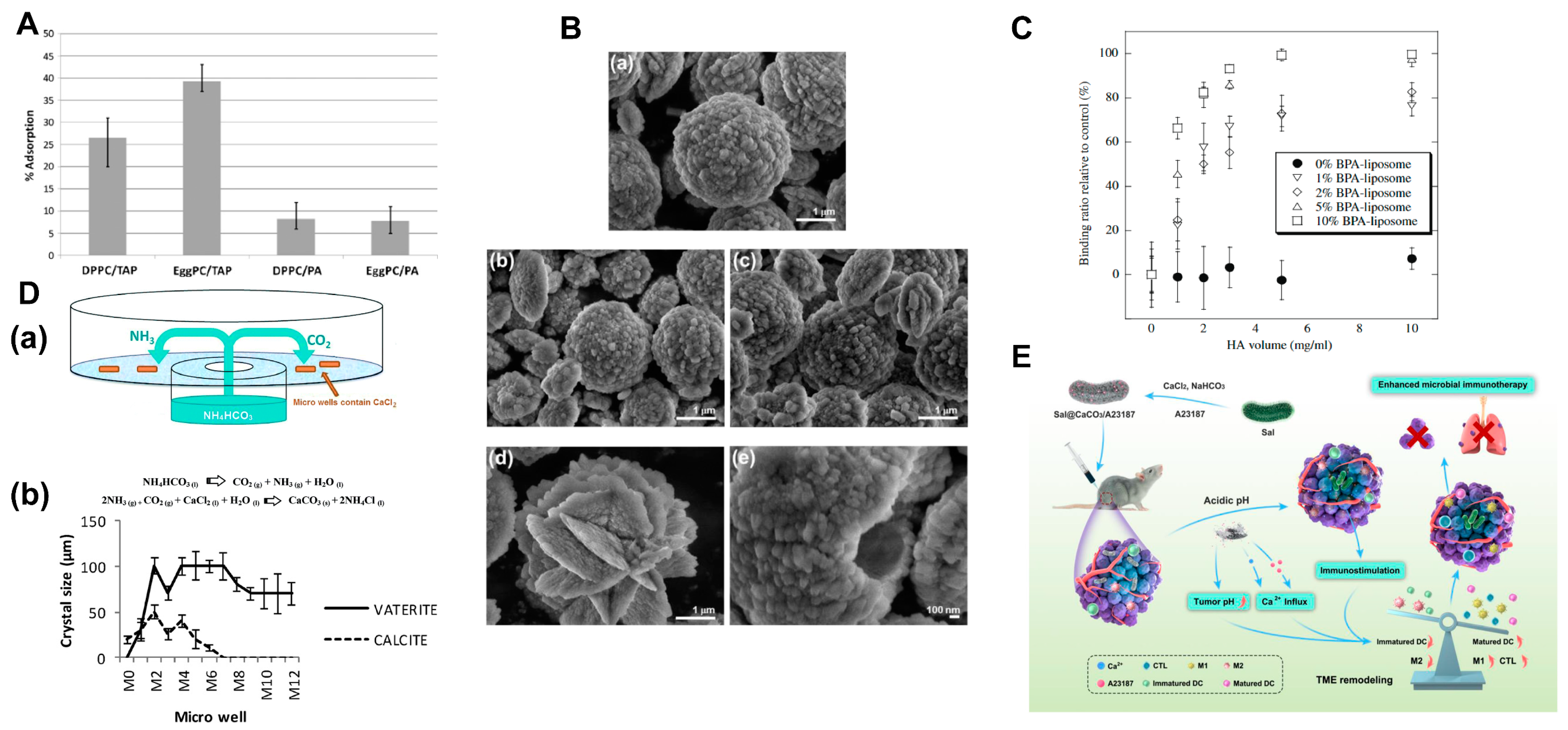 Ijms 25 03261 g005 Ijms 25 03261 g005