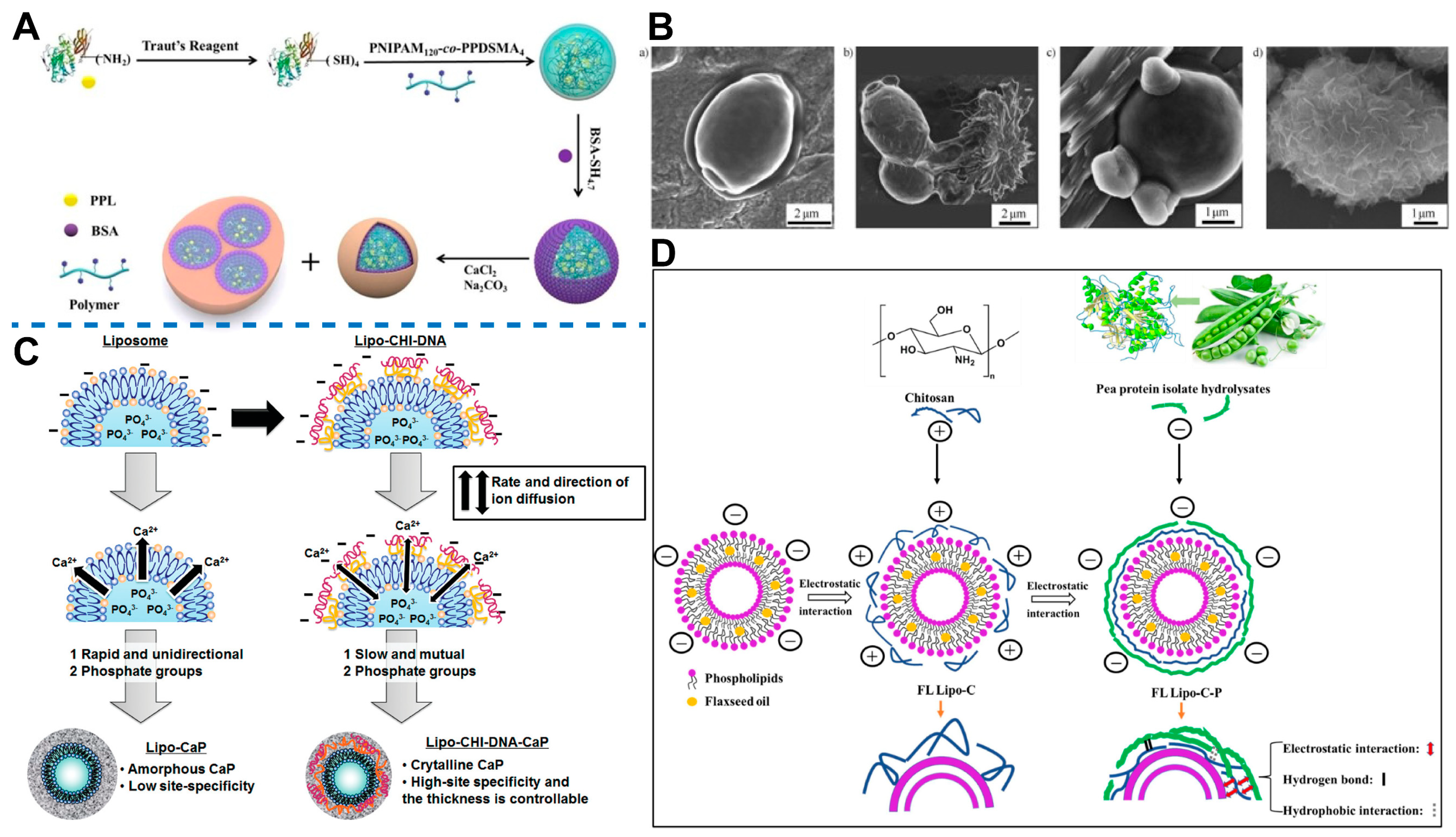 Ijms 25 03261 g007 Ijms 25 03261 g007