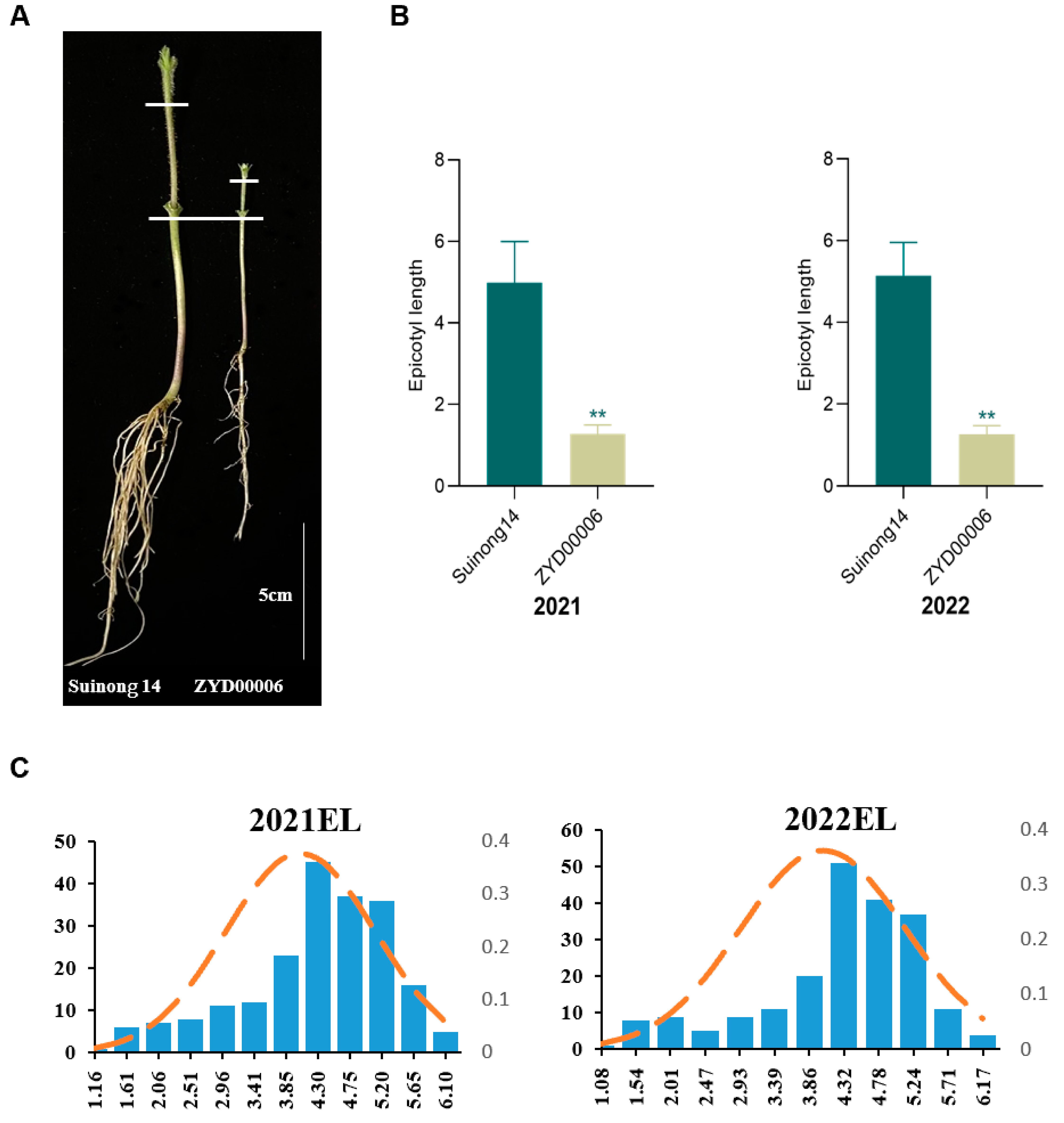 Ijms 25 03296 g001 Ijms 25 03296 g001
