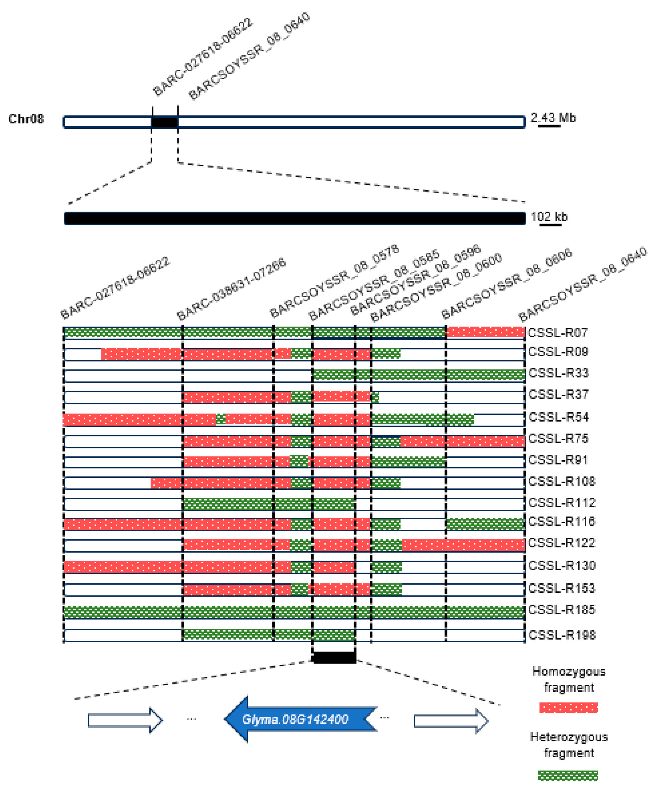 Ijms 25 03296 g002 Ijms 25 03296 g002