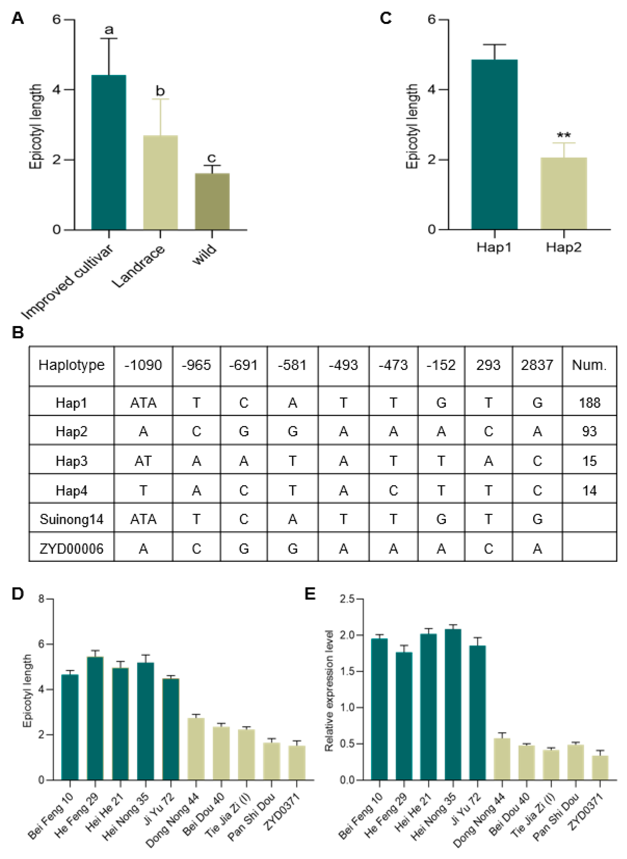 Ijms 25 03296 g006 Ijms 25 03296 g006