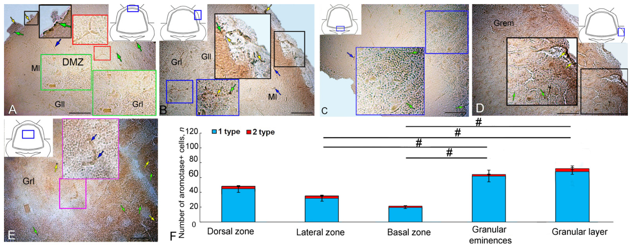 Ijms 25 03299 g001 Ijms 25 03299 g001
