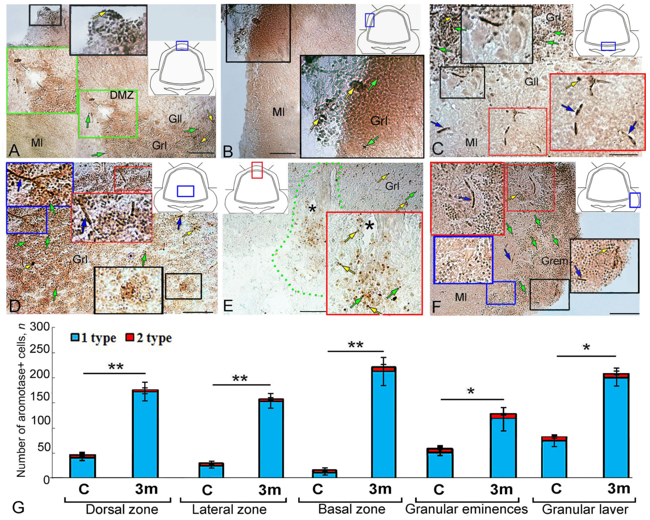 Ijms 25 03299 g002 Ijms 25 03299 g002