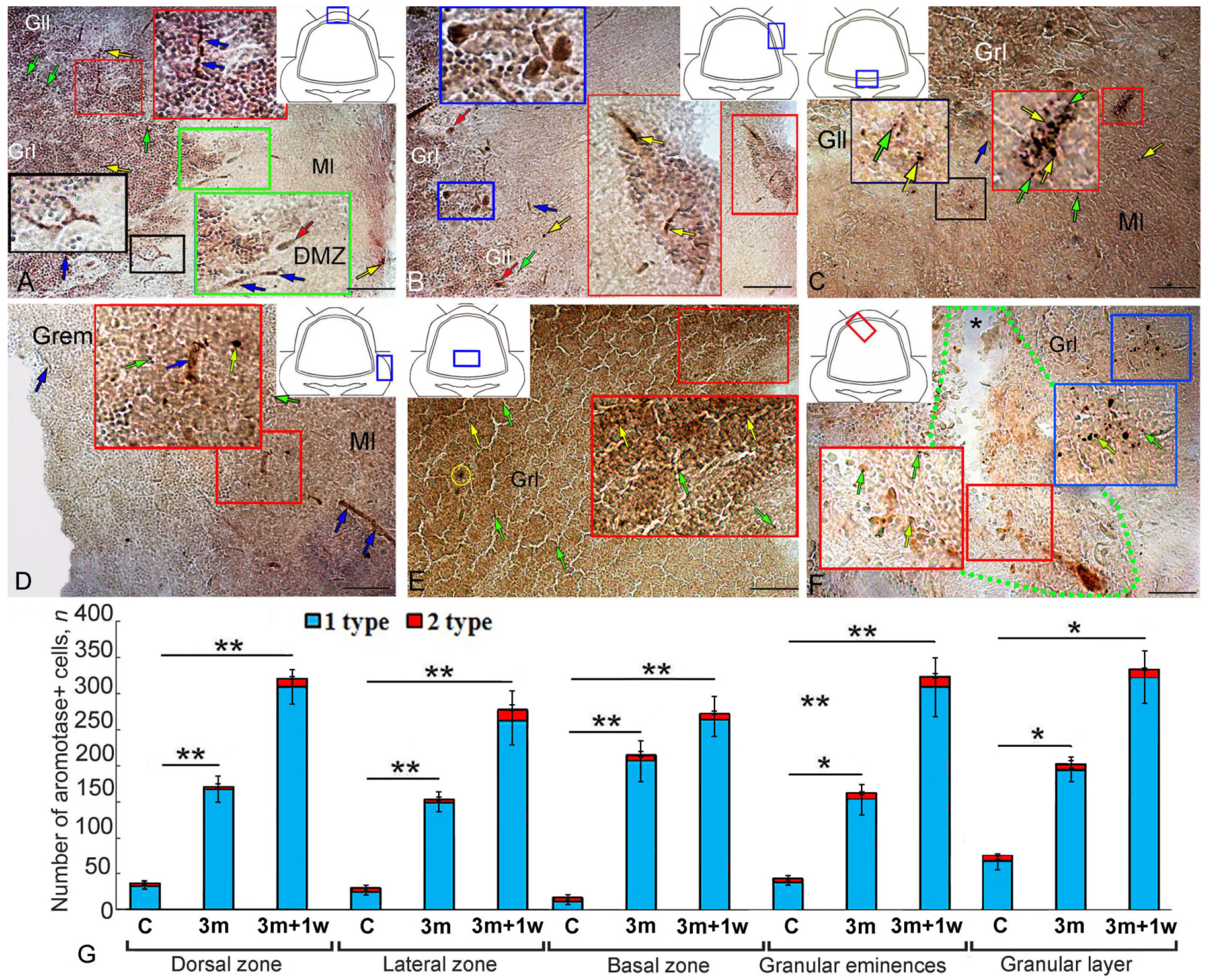 Ijms 25 03299 g003 Ijms 25 03299 g003