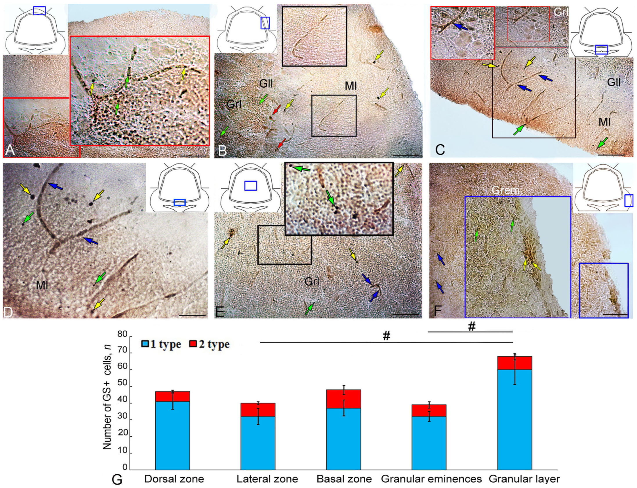 Ijms 25 03299 g004 Ijms 25 03299 g004