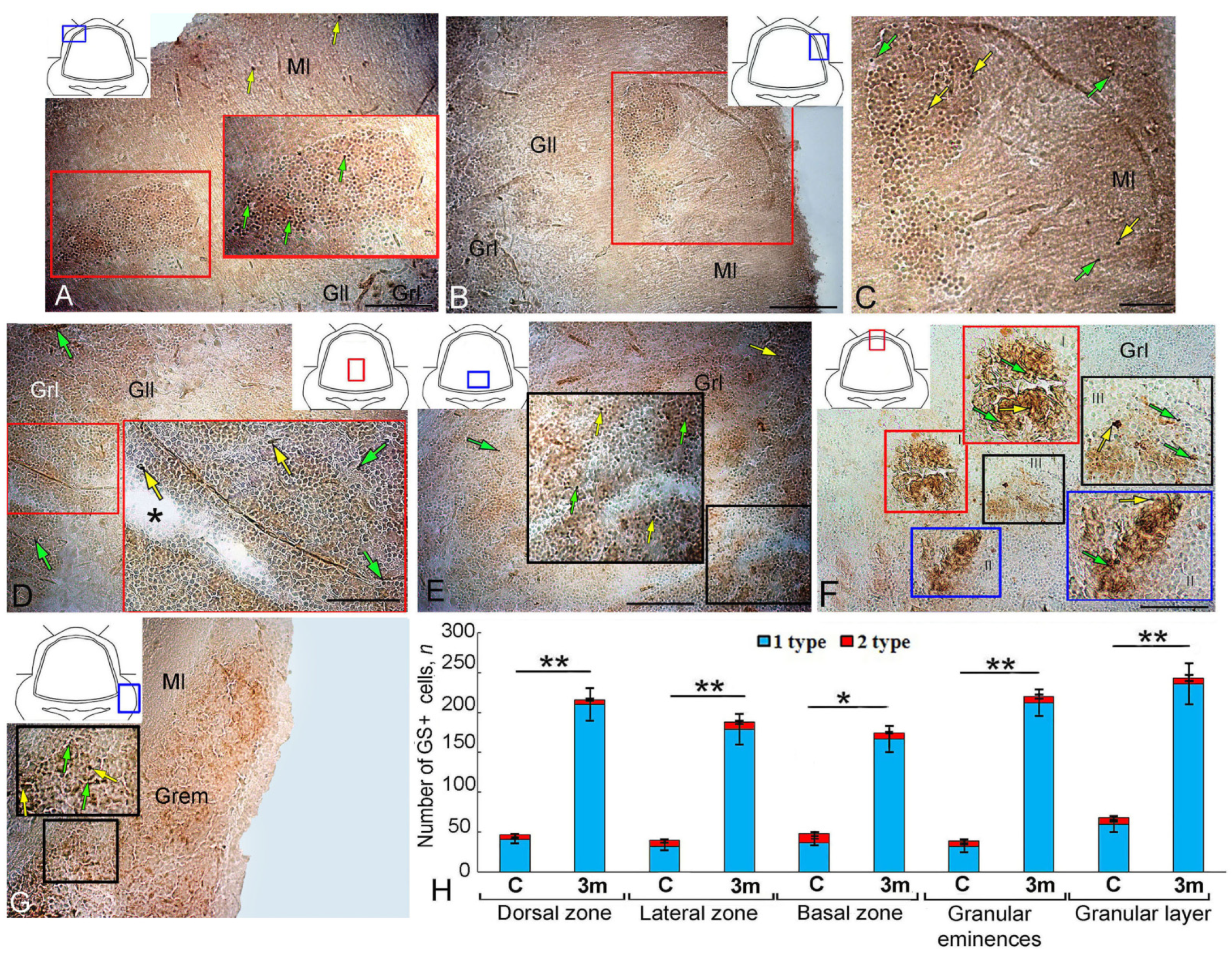 Ijms 25 03299 g005 Ijms 25 03299 g005