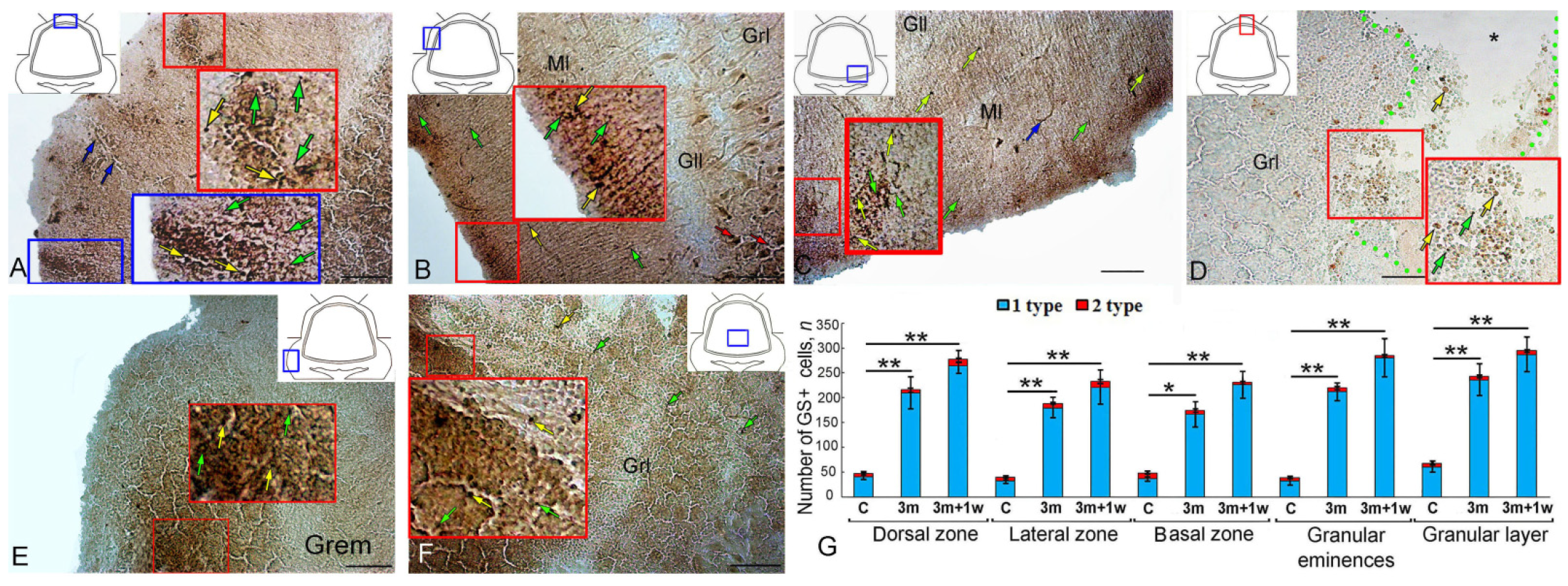 Ijms 25 03299 g006 Ijms 25 03299 g006