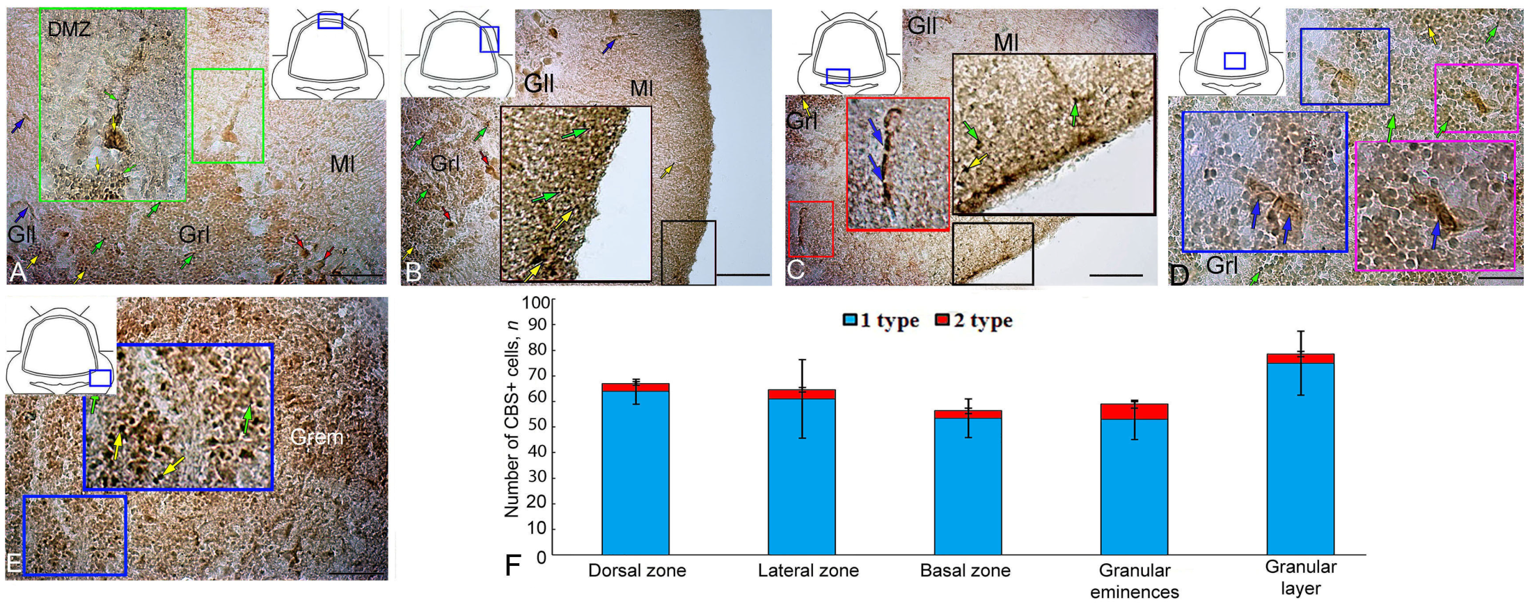 Ijms 25 03299 g007 Ijms 25 03299 g007
