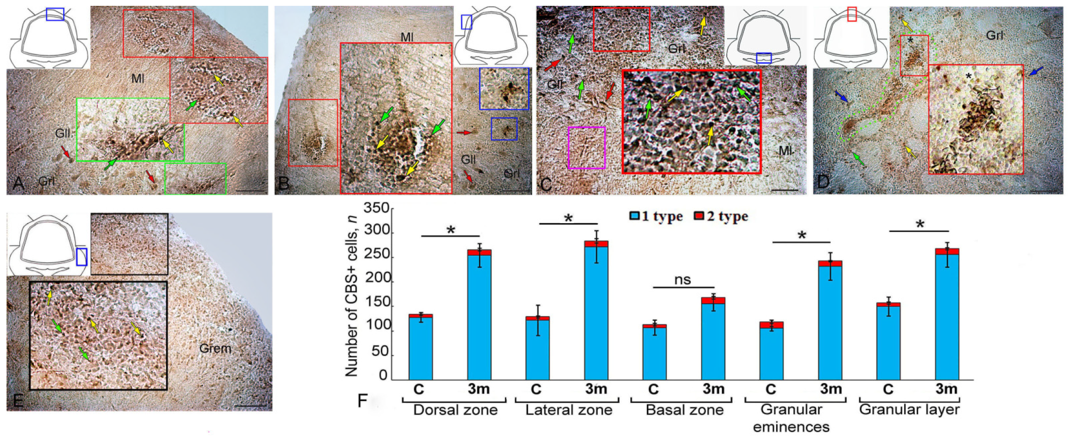 Ijms 25 03299 g008 Ijms 25 03299 g008