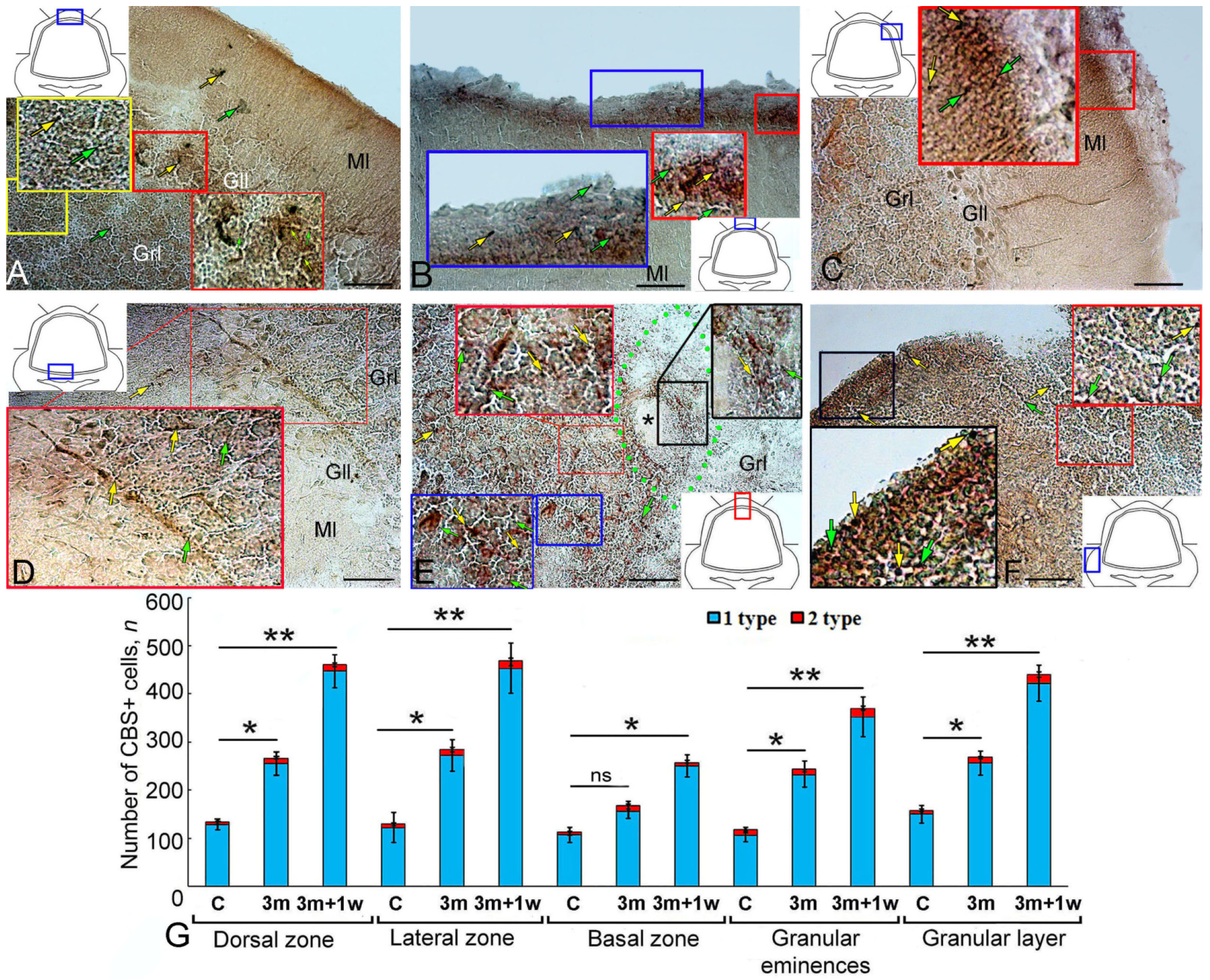 Ijms 25 03299 g009 Ijms 25 03299 g009