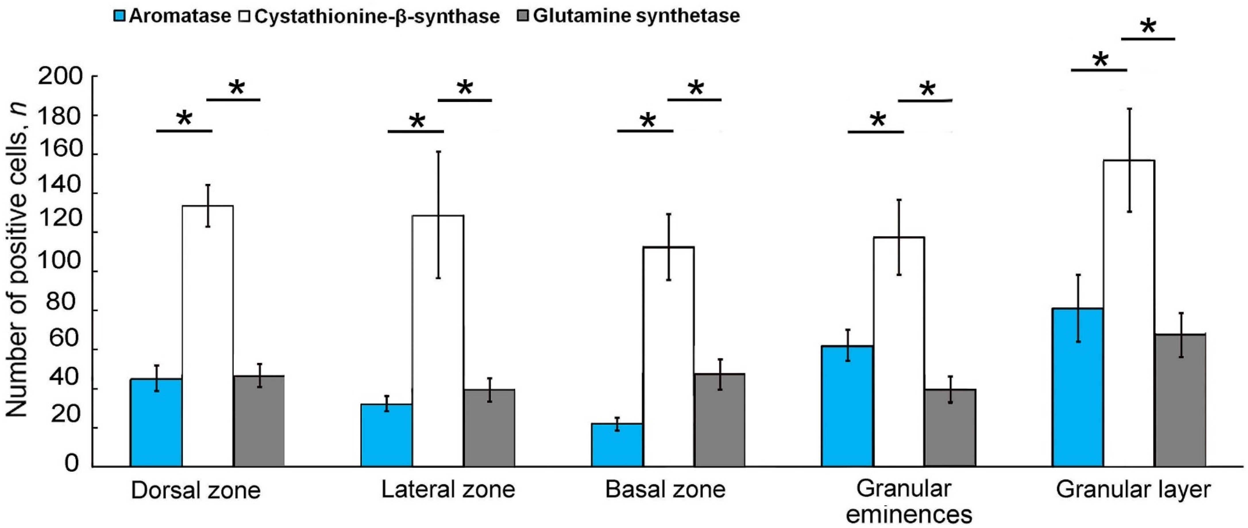 Ijms 25 03299 g010 Ijms 25 03299 g010
