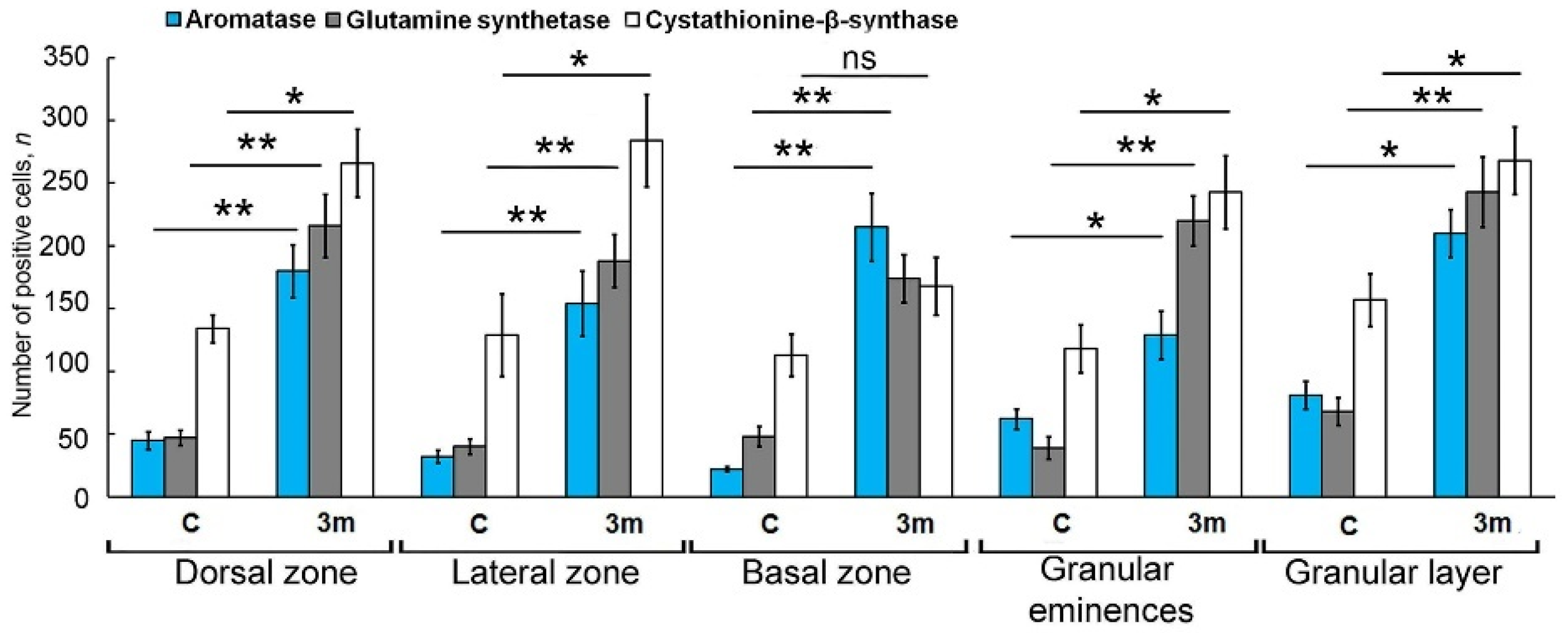 Ijms 25 03299 g012 Ijms 25 03299 g012