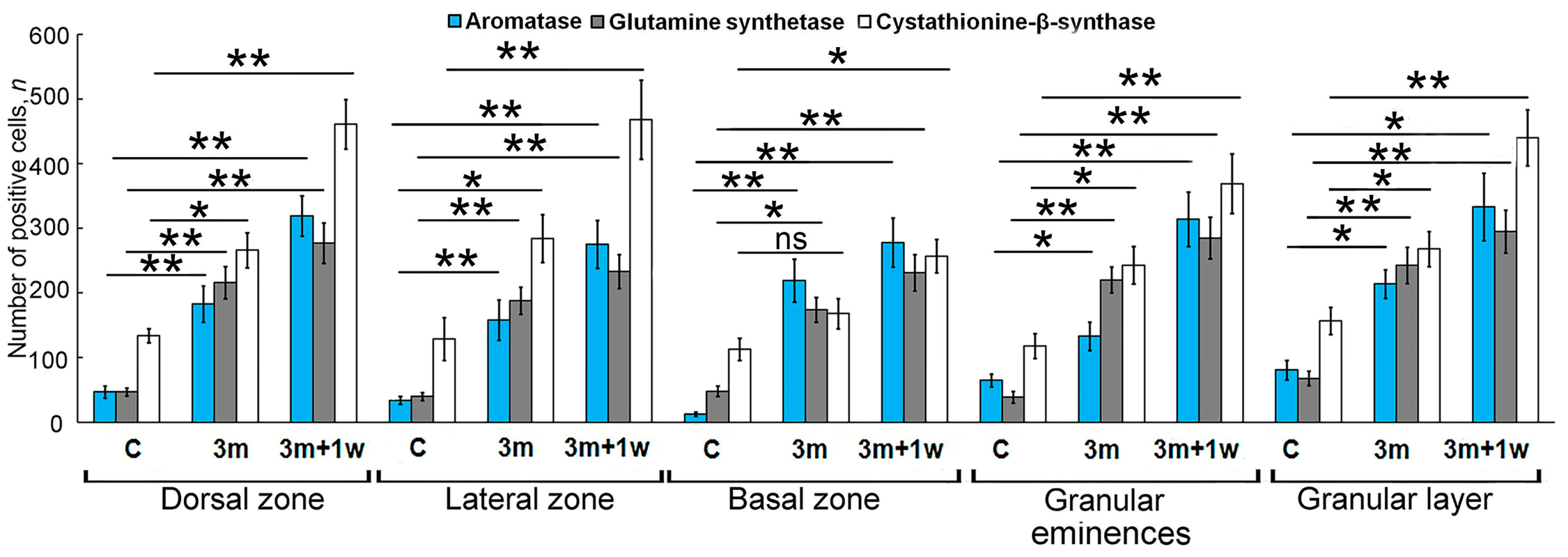 Ijms 25 03299 g013 Ijms 25 03299 g013