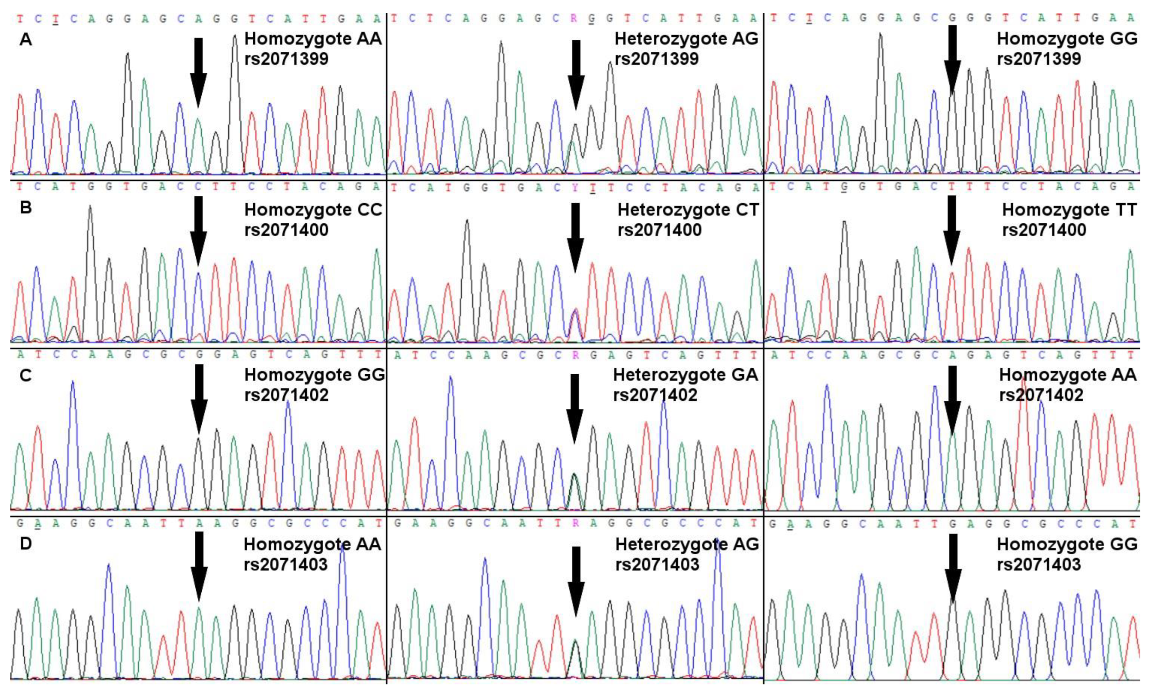 Ijms 25 03312 g001 Ijms 25 03312 g001