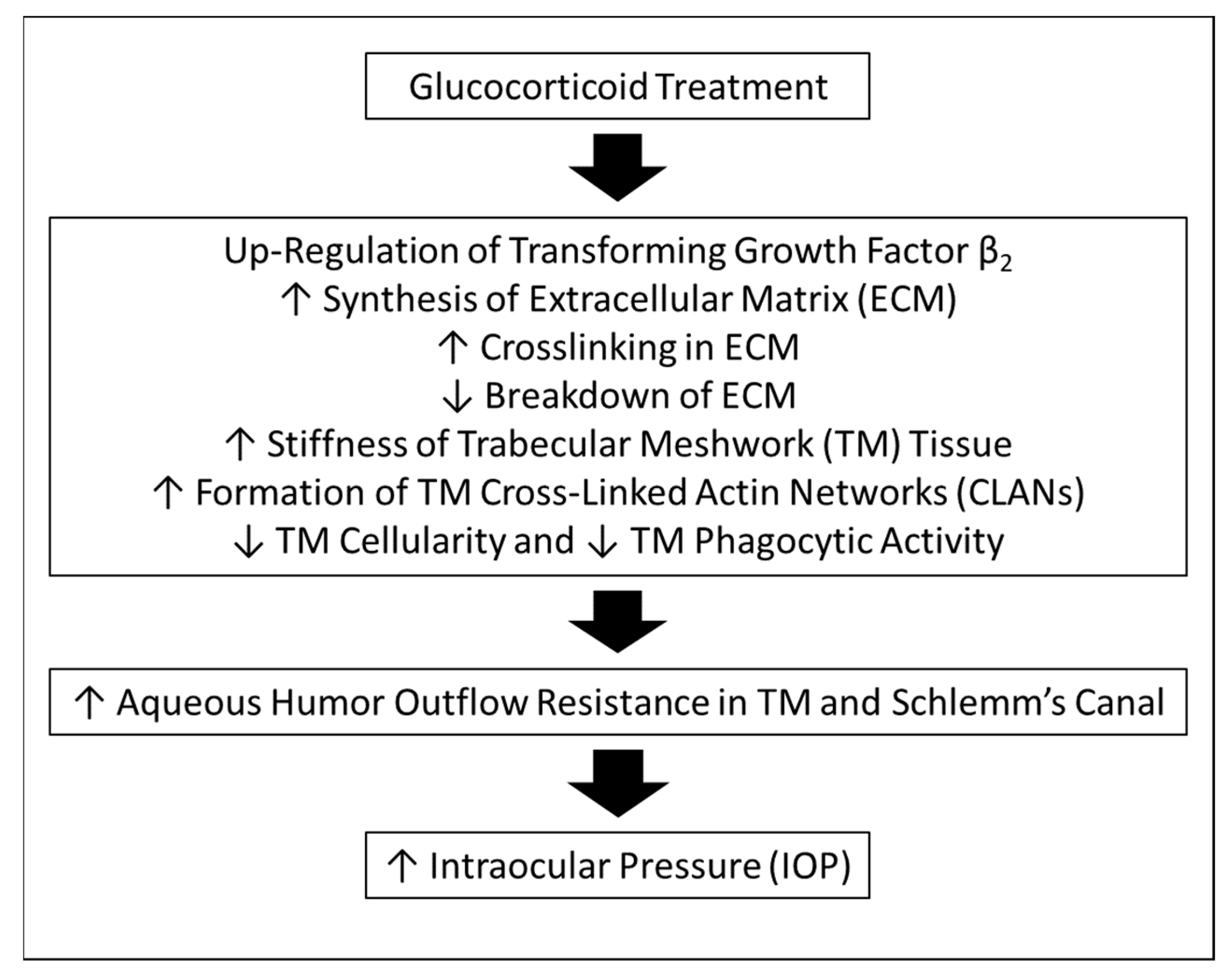 Ijms 25 03328 g001 Ijms 25 03328 g001
