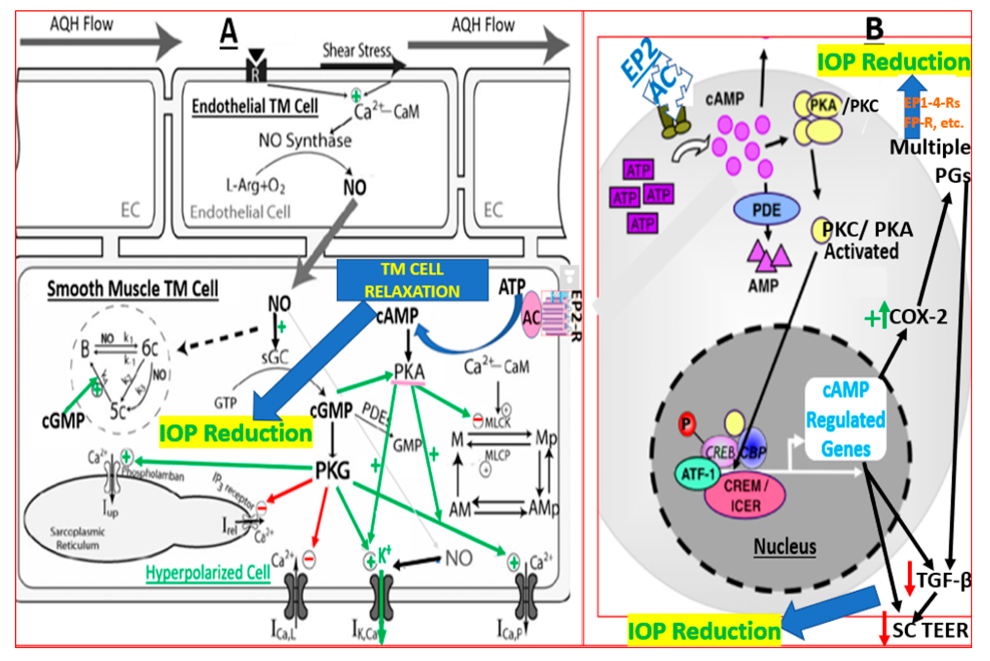 Ijms 25 03328 g004 Ijms 25 03328 g004