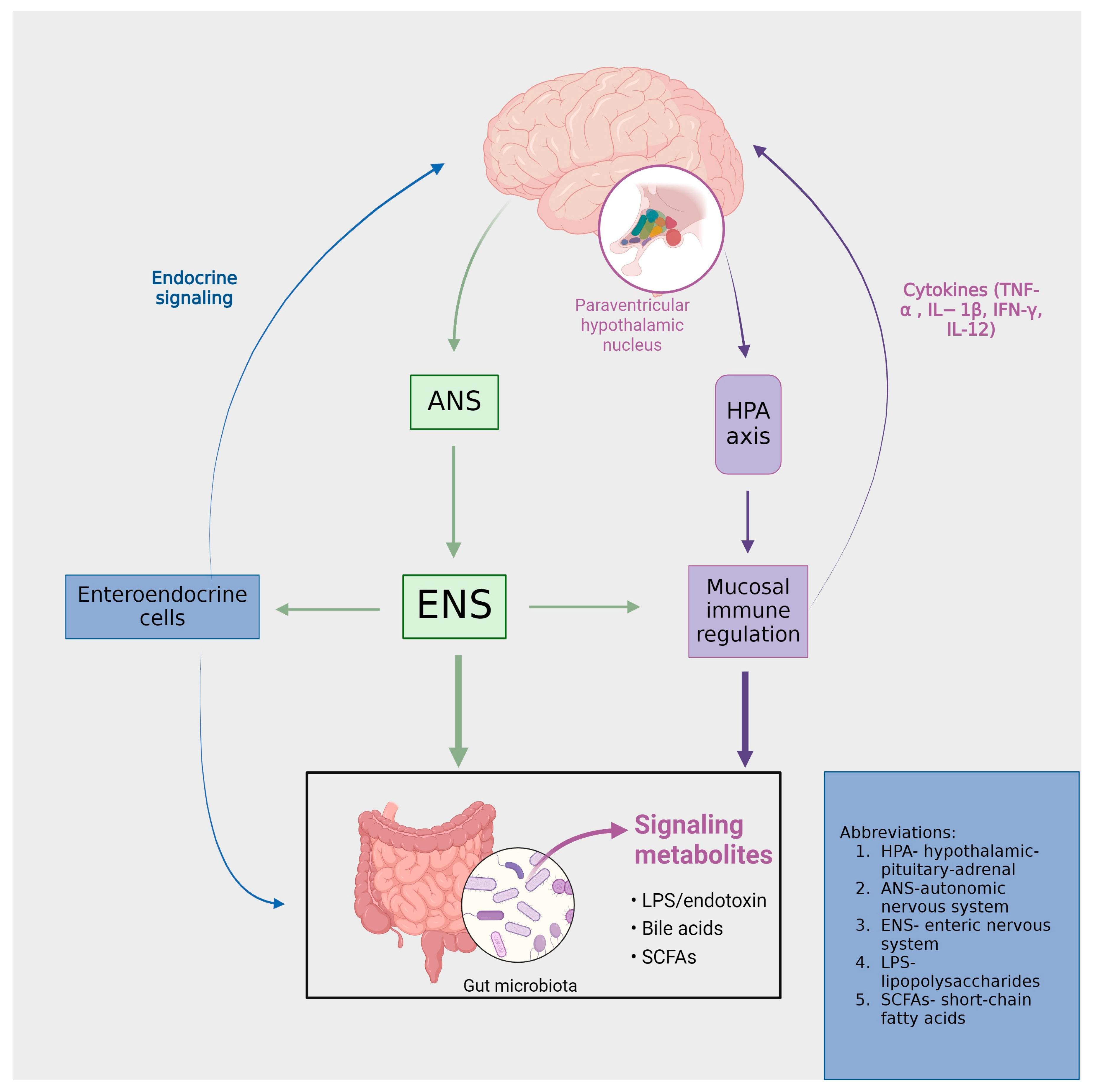 Ijms 25 03340 g001 Ijms 25 03340 g001