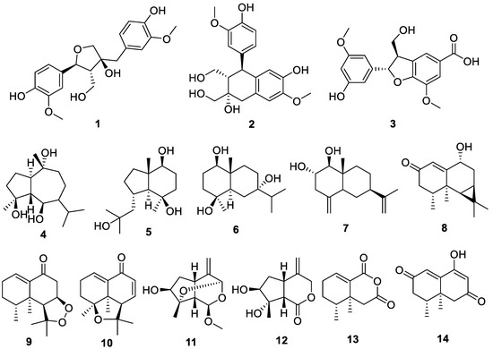 ちな Cycloolivil Isolated from Nardostachys jatamansi Inhibits