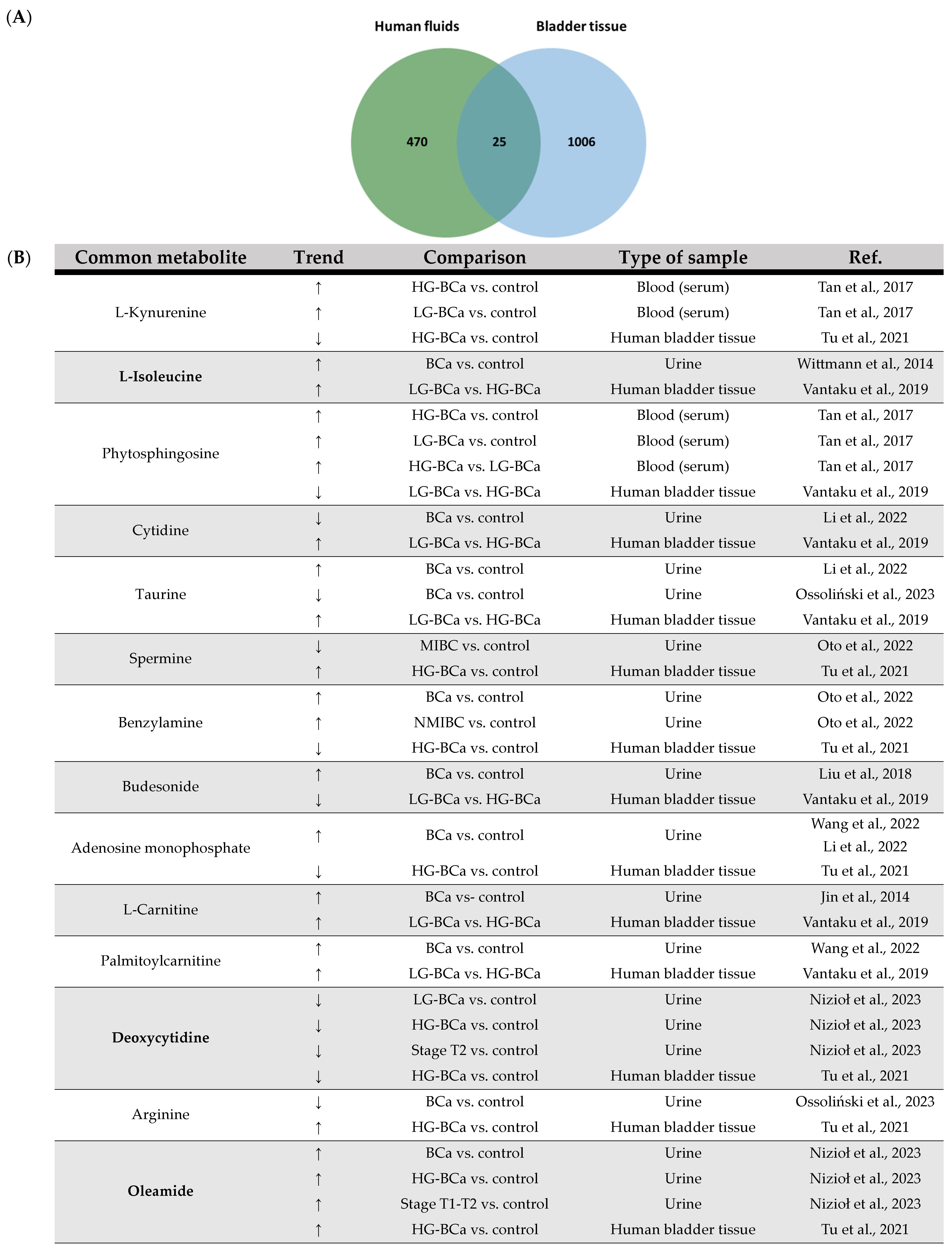 Ijms 25 03347 g004a Ijms 25 03347 g004a