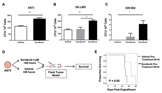 Low-Dose Sorafenib Promotes Cancer Stem Cell Expansion and